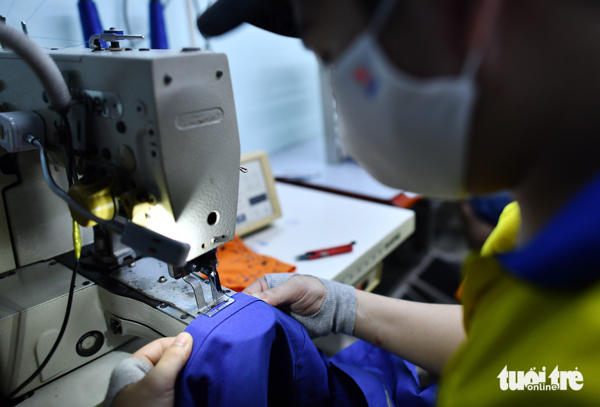 lao động - Ảnh 1.