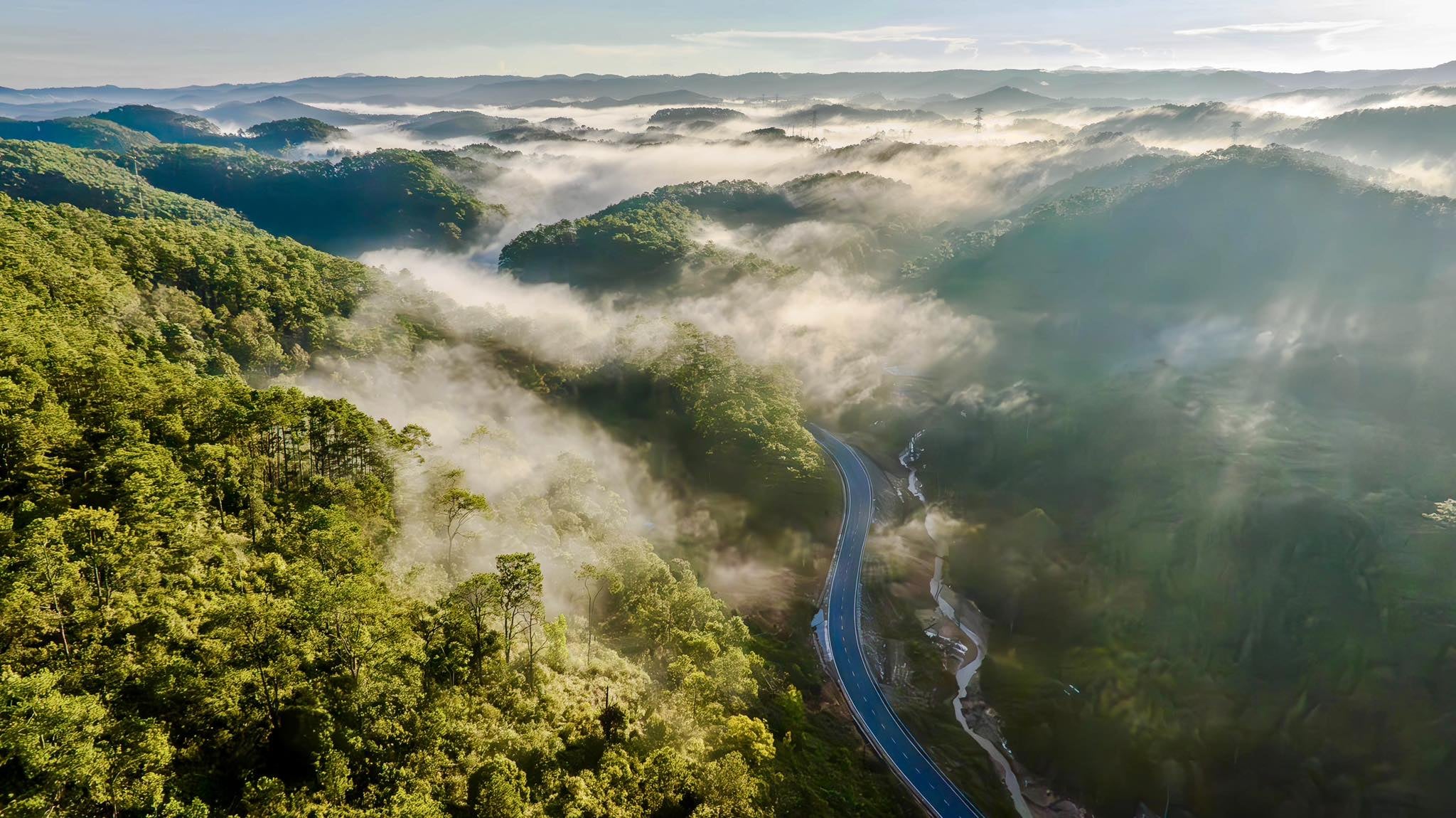 Central Vietnamese province welcomes 2026 with cherry blossoms, festive buzz- Ảnh 12.