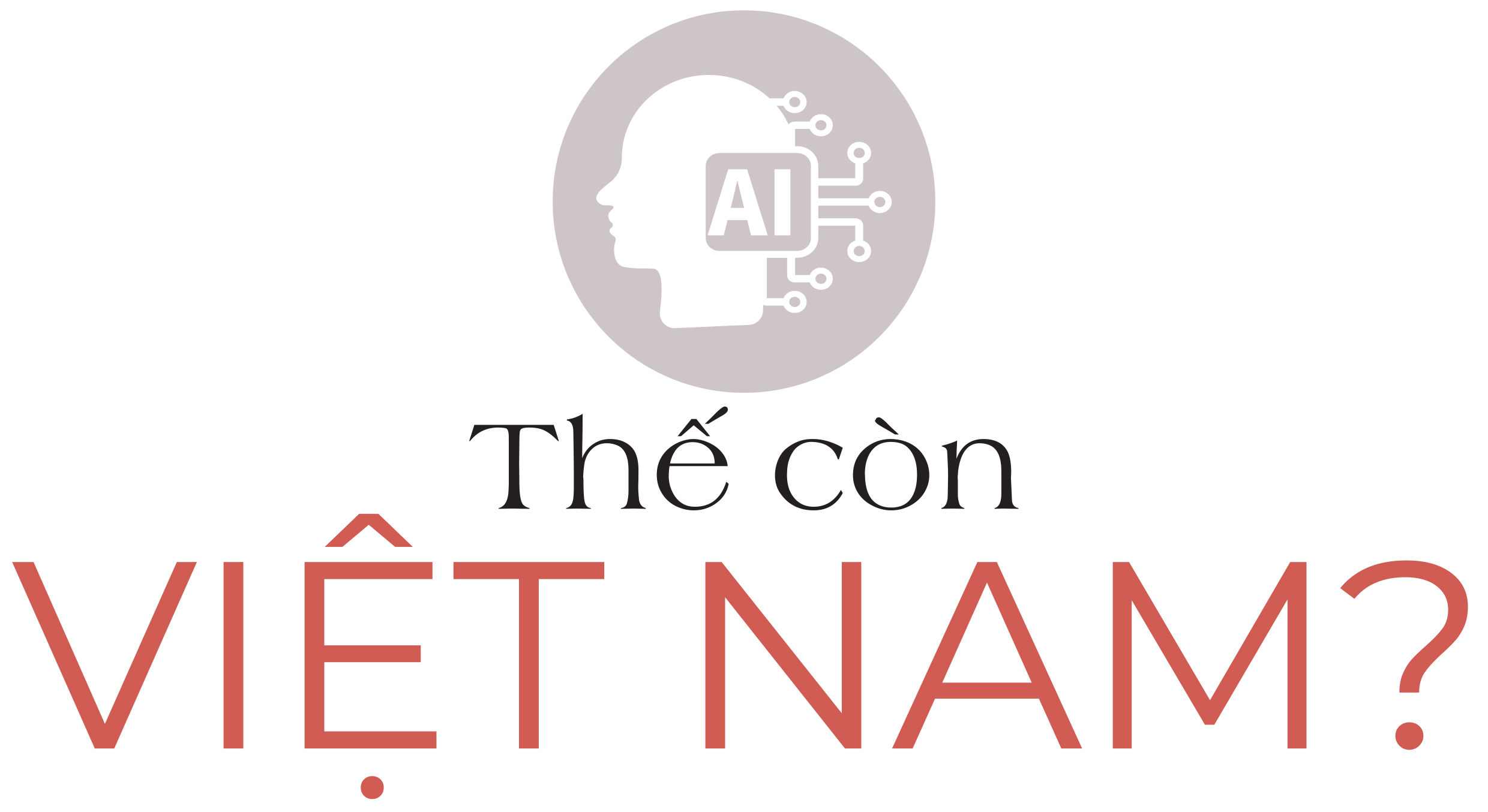 Việt Nam đứng đâu trên bản đồ AI thế giới? - Ảnh 4.