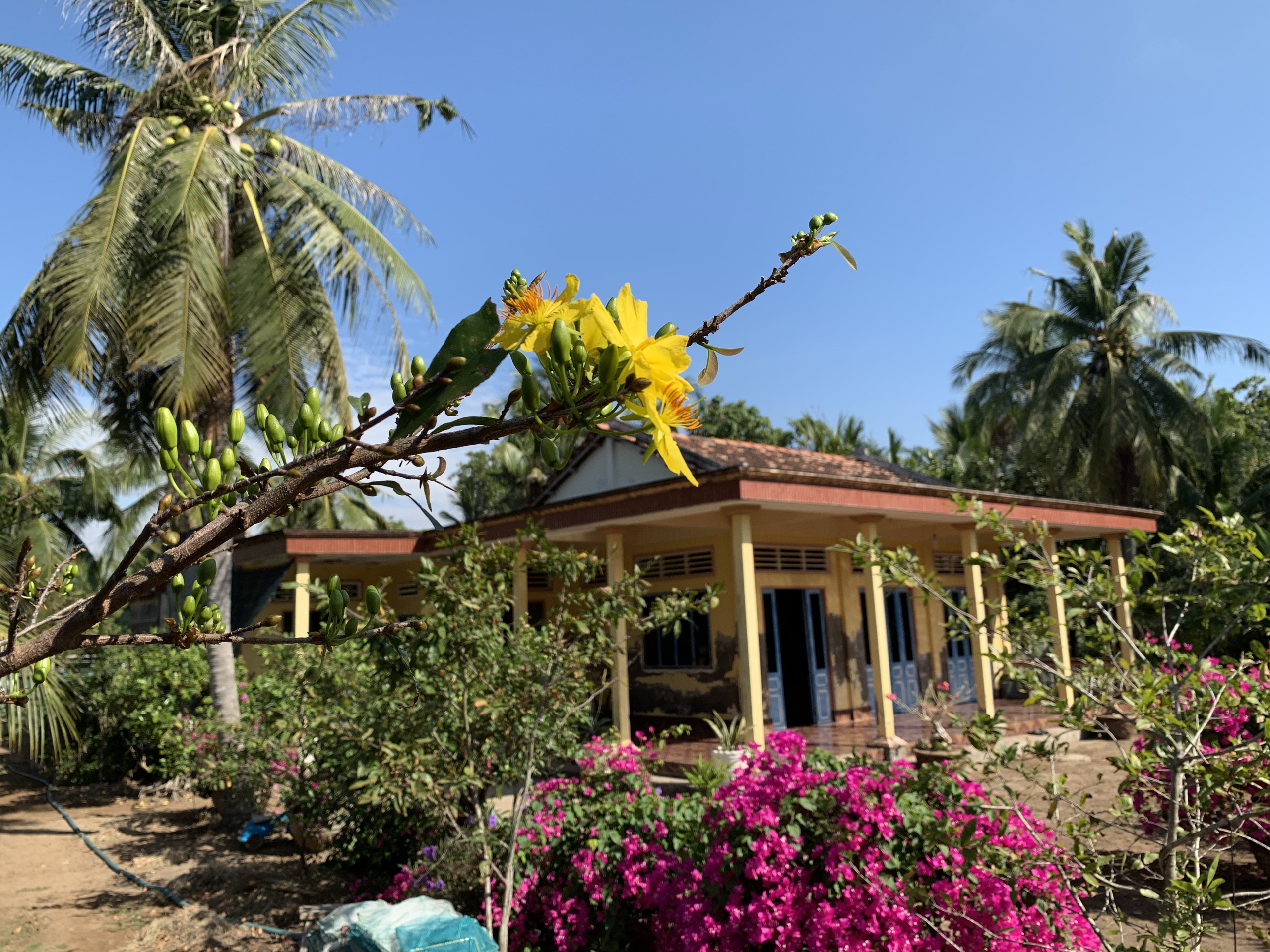 Ngôi nhà hình tổ chim câu - Ảnh 1. Ngôi nhà - Ảnh 1.