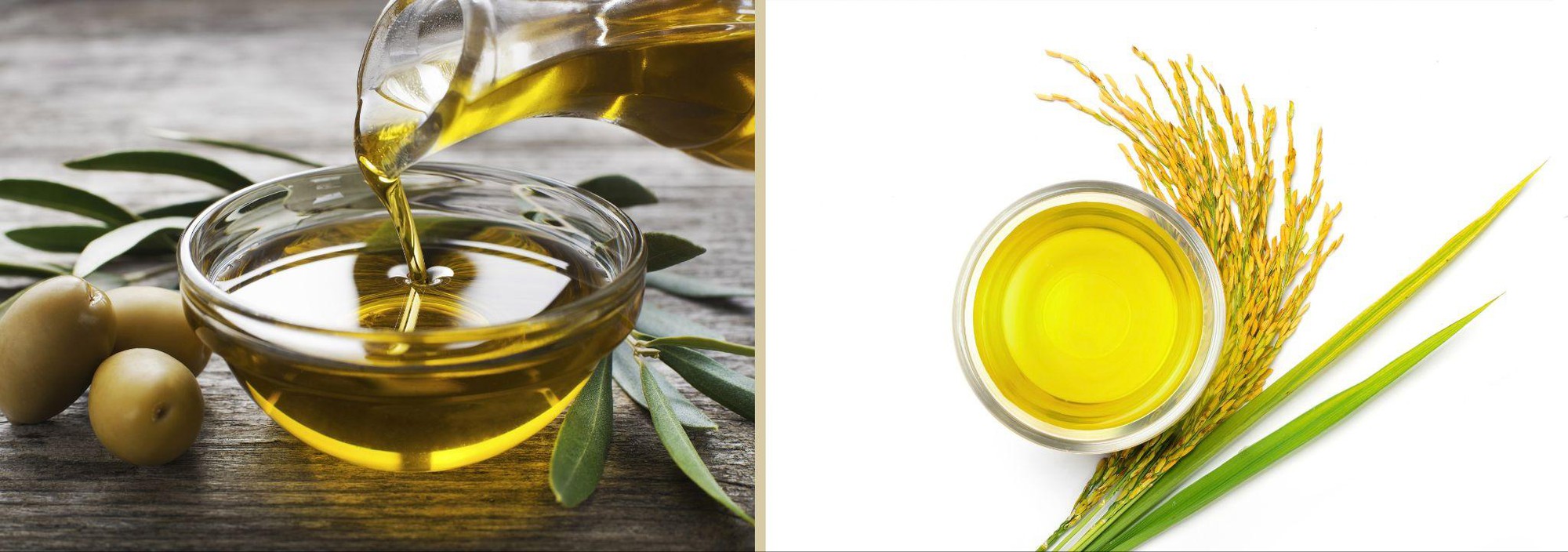 Công thức dầu ô-liu và gạo lứt giúp nâng tầm gian bếp - Ảnh 1.