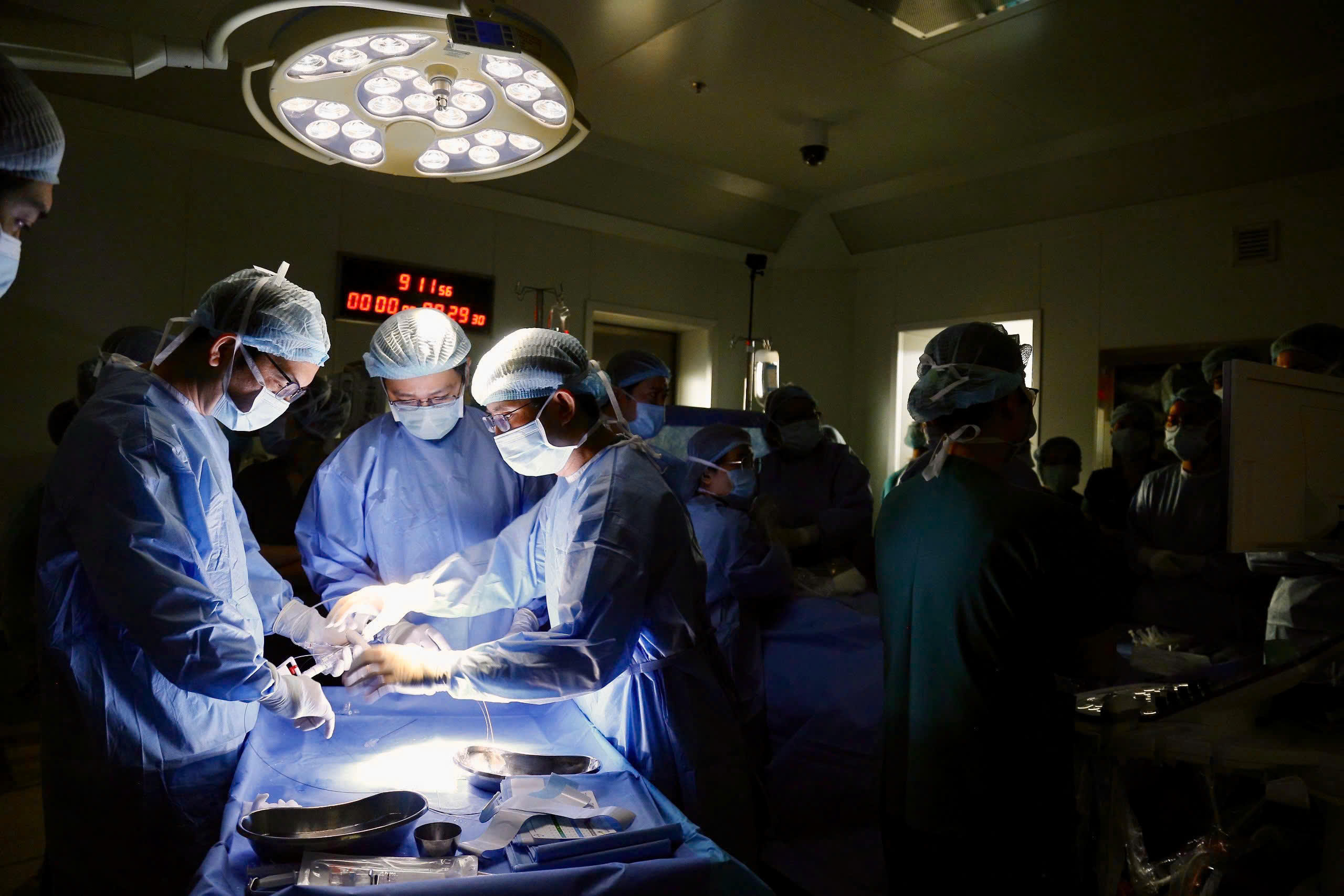 thông tim - Ảnh 1.