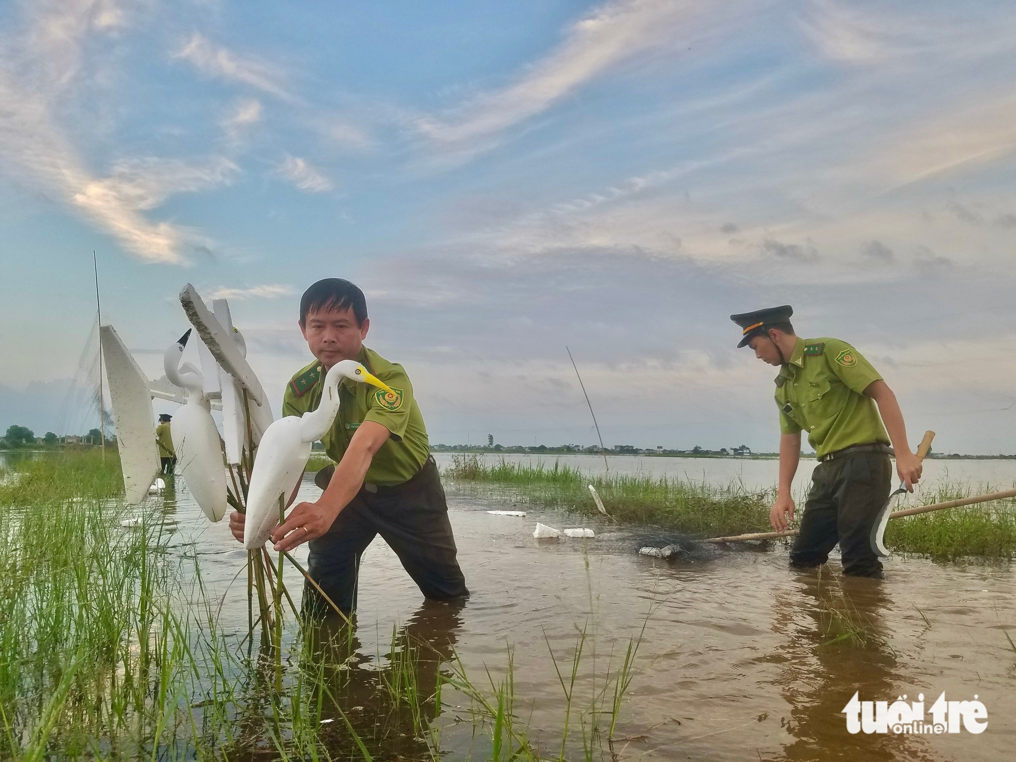 Những cái chết tức tưởi của chim, cò trên đường di thiên - Tuổi Trẻ Online