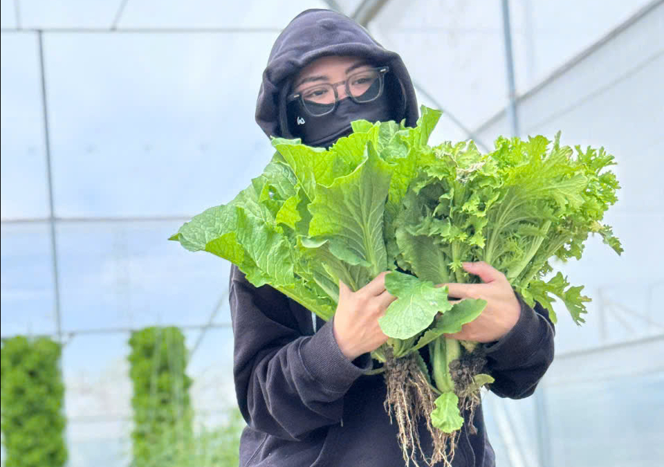 Thuê đất, trồng vườn trở thành Lifestyle ‘hái ra tiền’ đối với cư dân đô thị - Ảnh 1.