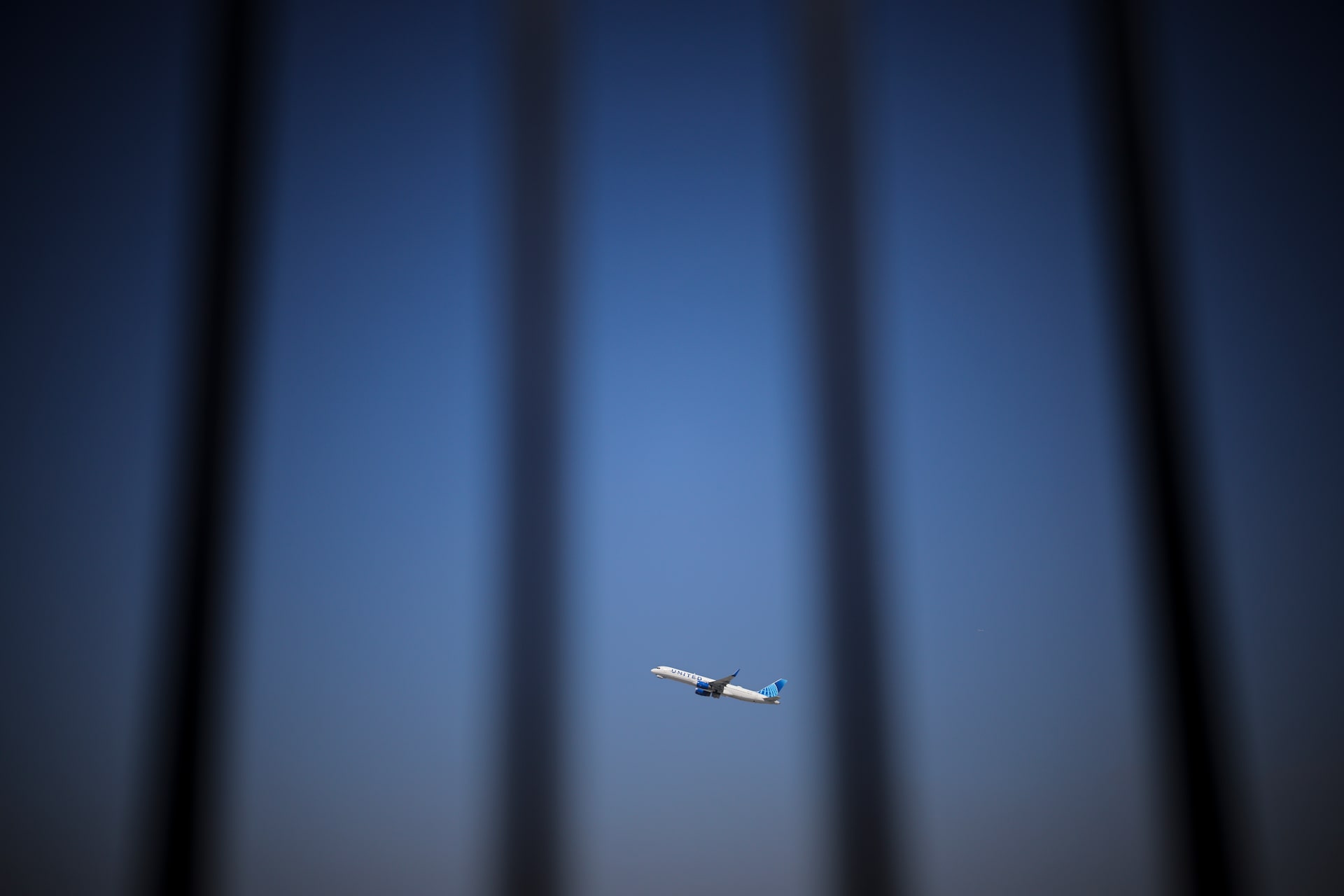 ‘If you aren’t lying, you aren’t flying.’ Airline pilots hide mental health struggles - Ảnh 5.