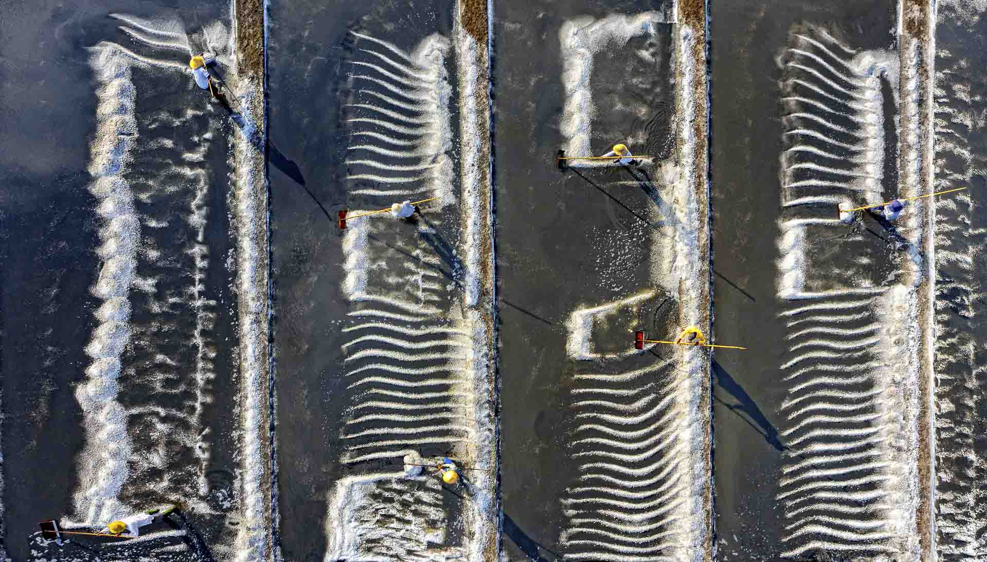 Nhiếp ảnh Việt Nam nhìn qua thấy đẹp nhưng mãi ở lối mòn - Ảnh 9.