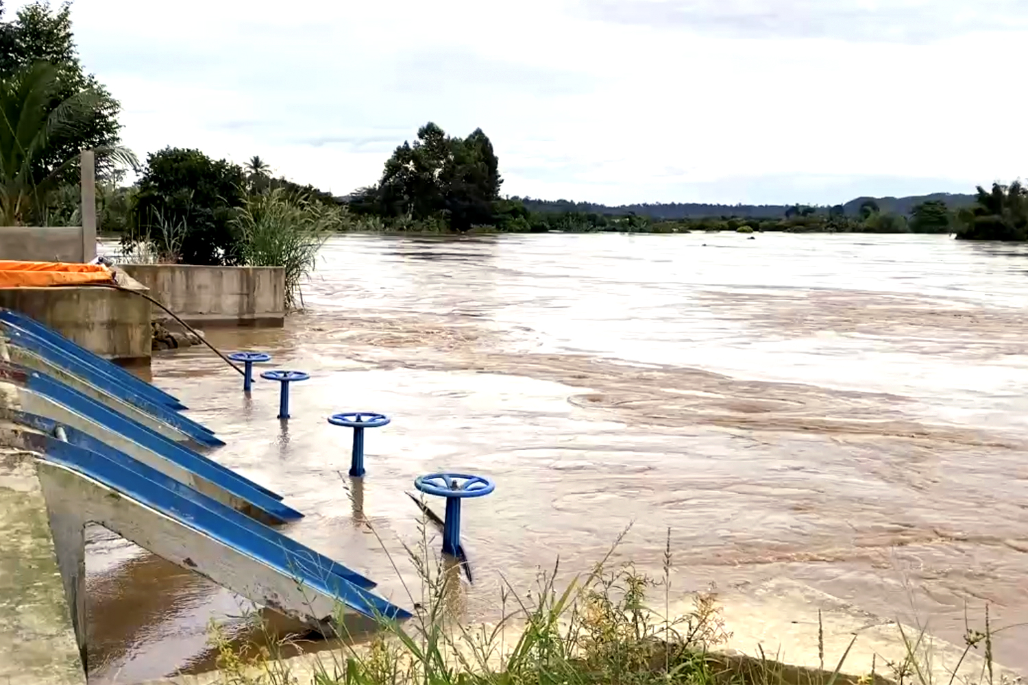 Đồng Nai - Ảnh 1.