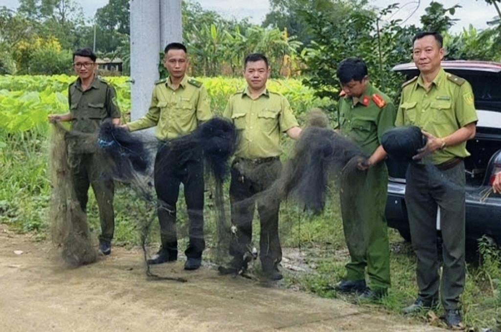 Kiểm lâm TP.HCM tháo gỡ 500m lưới giăng bẫy chim trời ở cù lao Thạnh Hội - Ảnh 4.