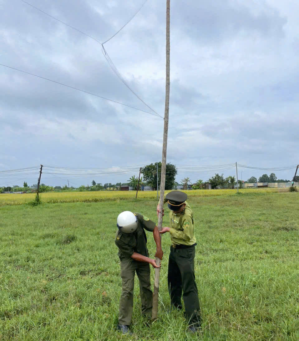 bẫy chim - Ảnh 2.