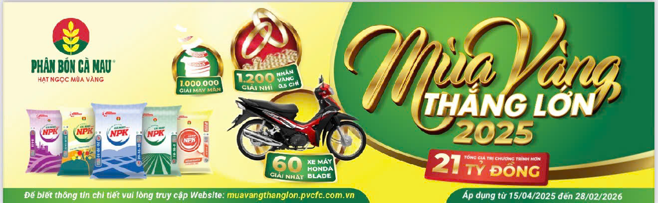 phân bón cà mau - Ảnh 4.