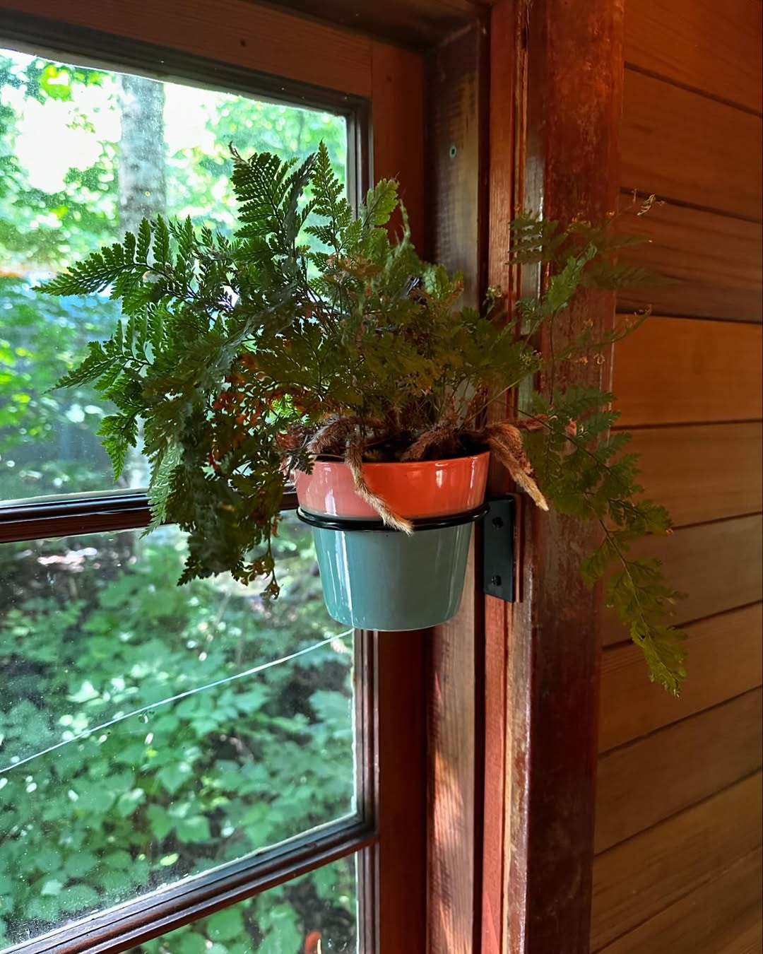 Nhà di động độc đáo người khó mua nhà sẽ thích: Chi phí chỉ ngang Mazda CX-5, như nhà cổ giữa rừng - Ảnh 15.