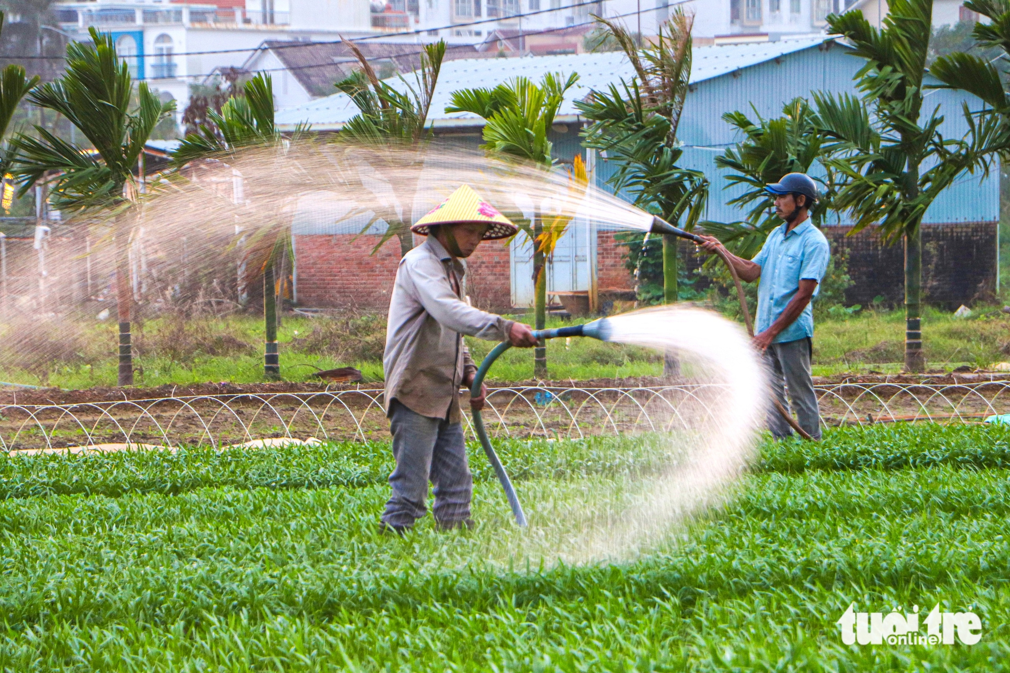 Đà Nẵng - Ảnh 5.