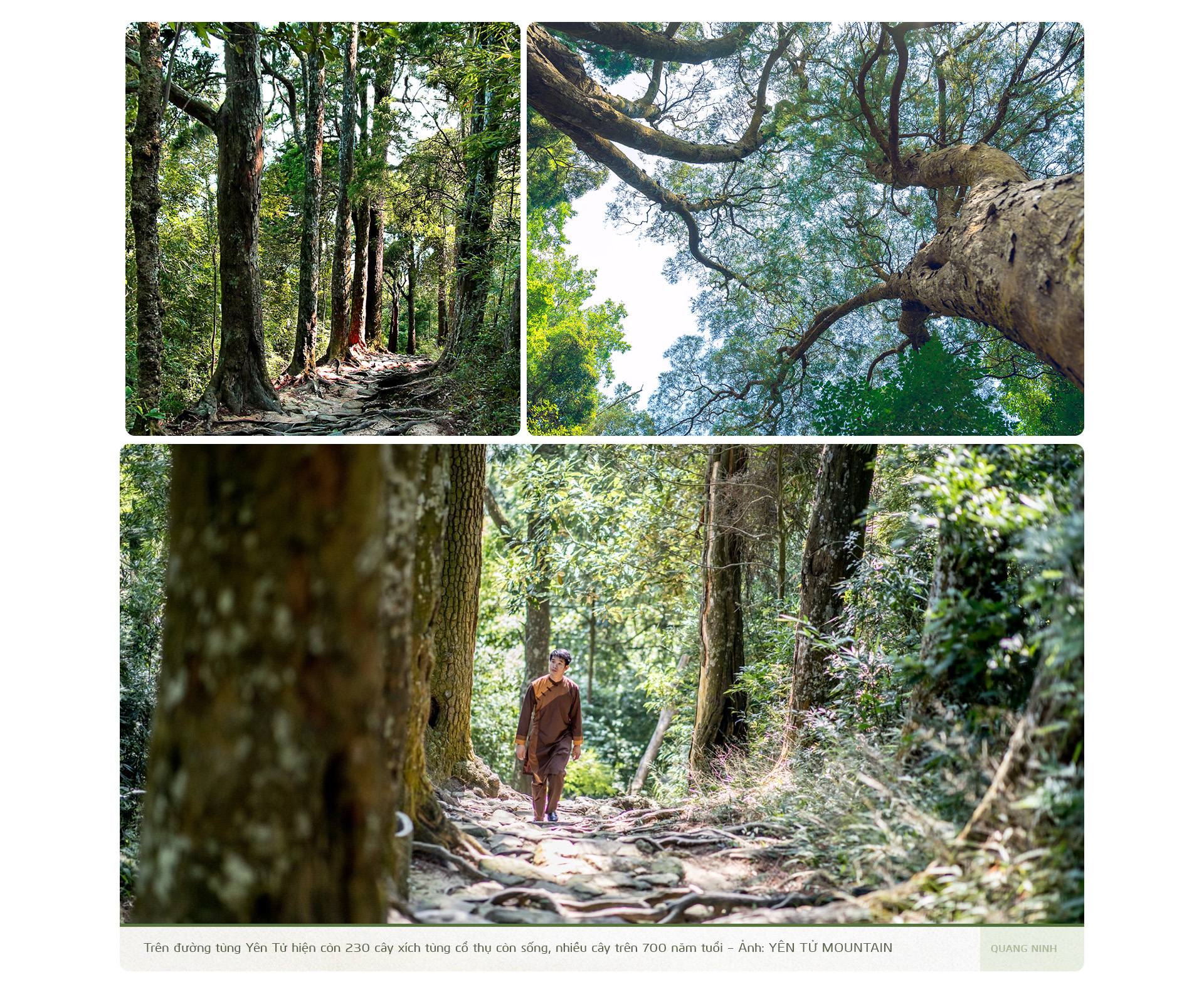 تطمح مقاطعة كوانغ نينه، التي تضم موقعين للتراث العالمي، إلى أن تصبح مركزاً ثقافياً إقليمياً - الصورة 7.