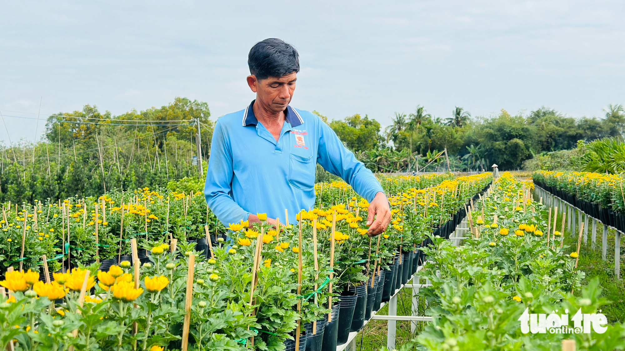 làng hoa Sa Đéc - Ảnh 3.