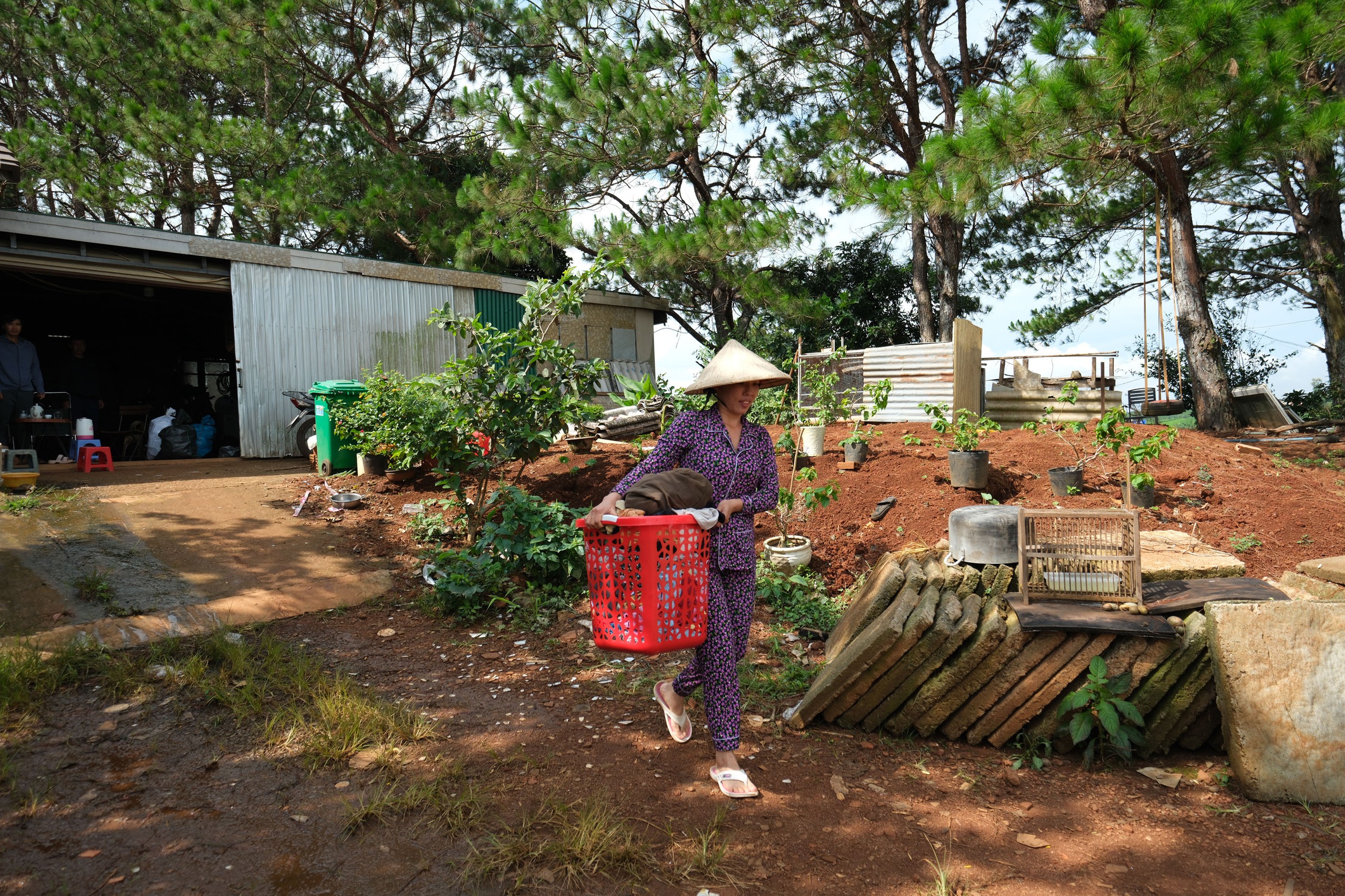Cử tri Lâm Đồng bức xúc vì bất cập trong quy hoạch khoáng sản - Ảnh 1.