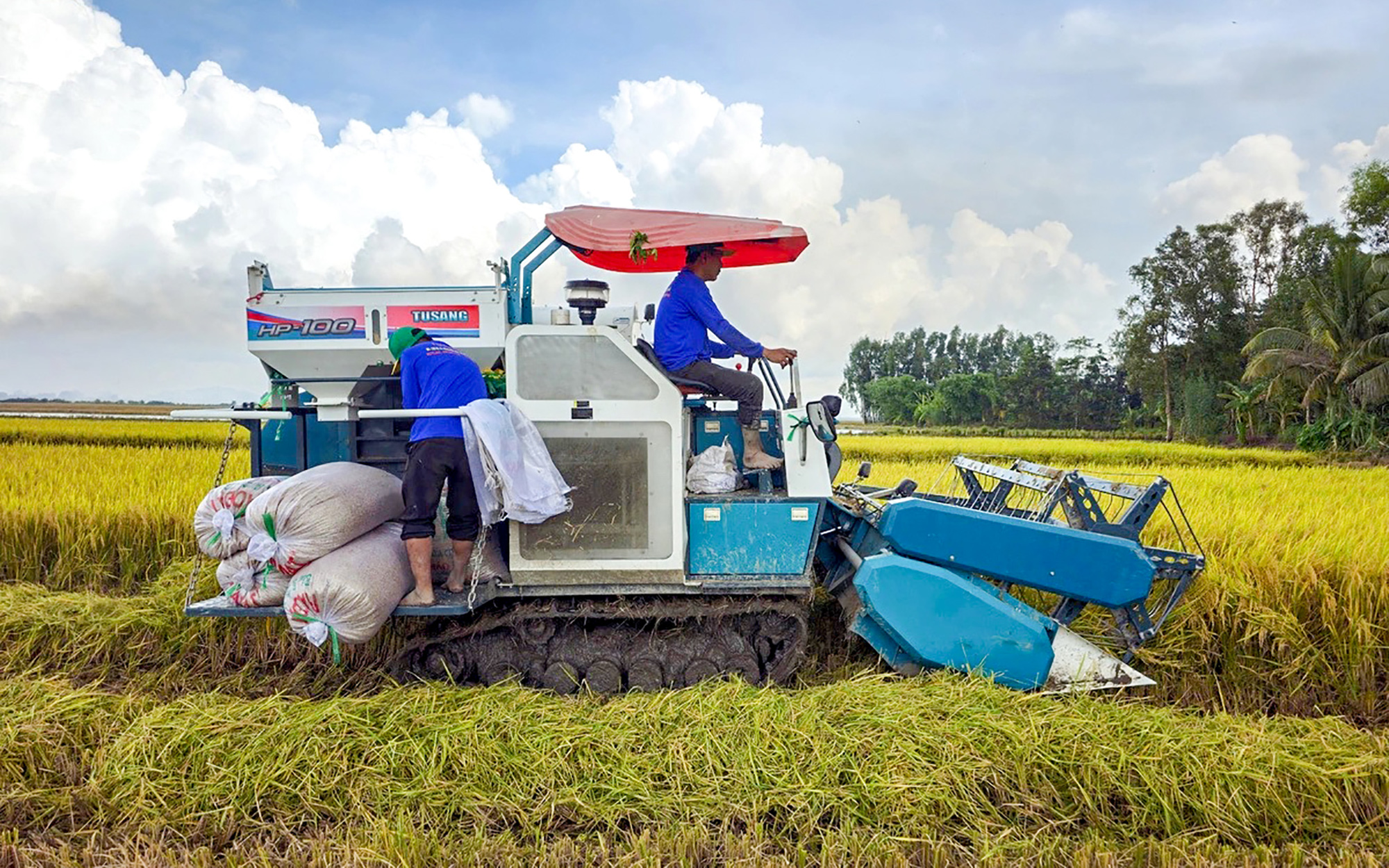 Đề án 1 triệu ha lúa chất lượng cao: Nông dân lời thêm 5 triệu đồng/ha - Ảnh 1. Đề án 1 triệu ha lúa chất lượng cao: Nông dân lời thêm 5 triệu đồng/ha - Ảnh 1.