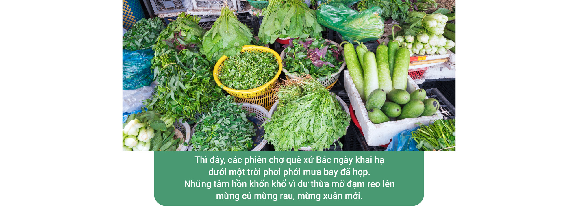 Mùa xuân ăn rau lành - Ảnh 1.