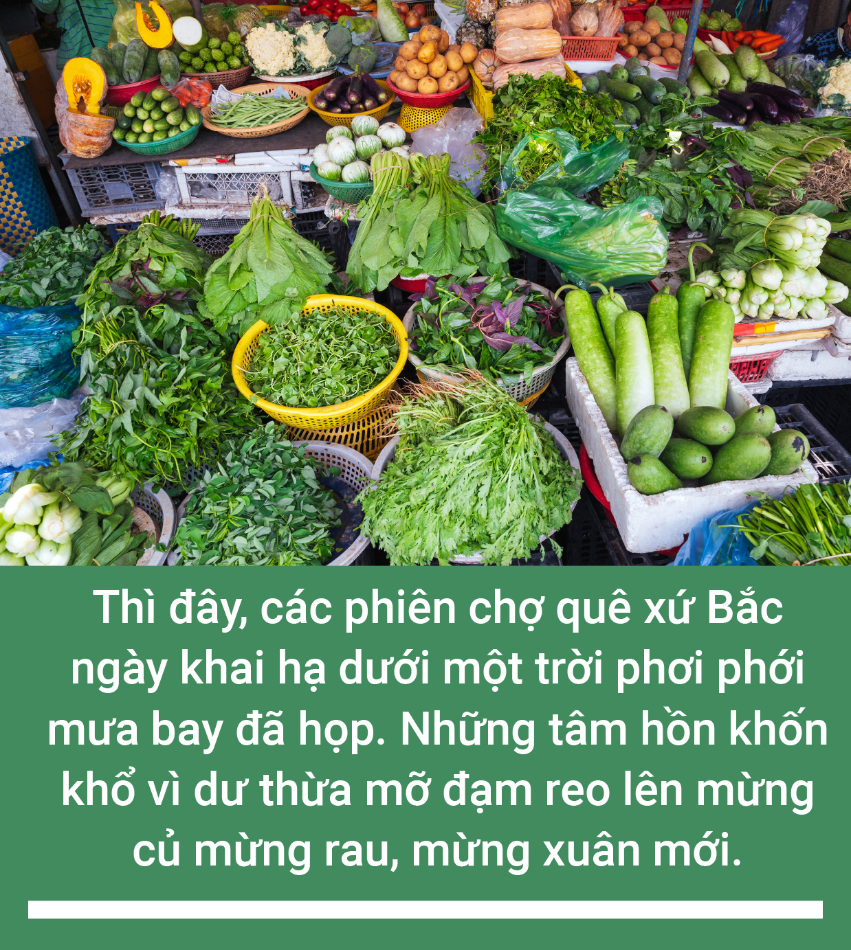 Mùa xuân ăn rau lành - Ảnh 1.