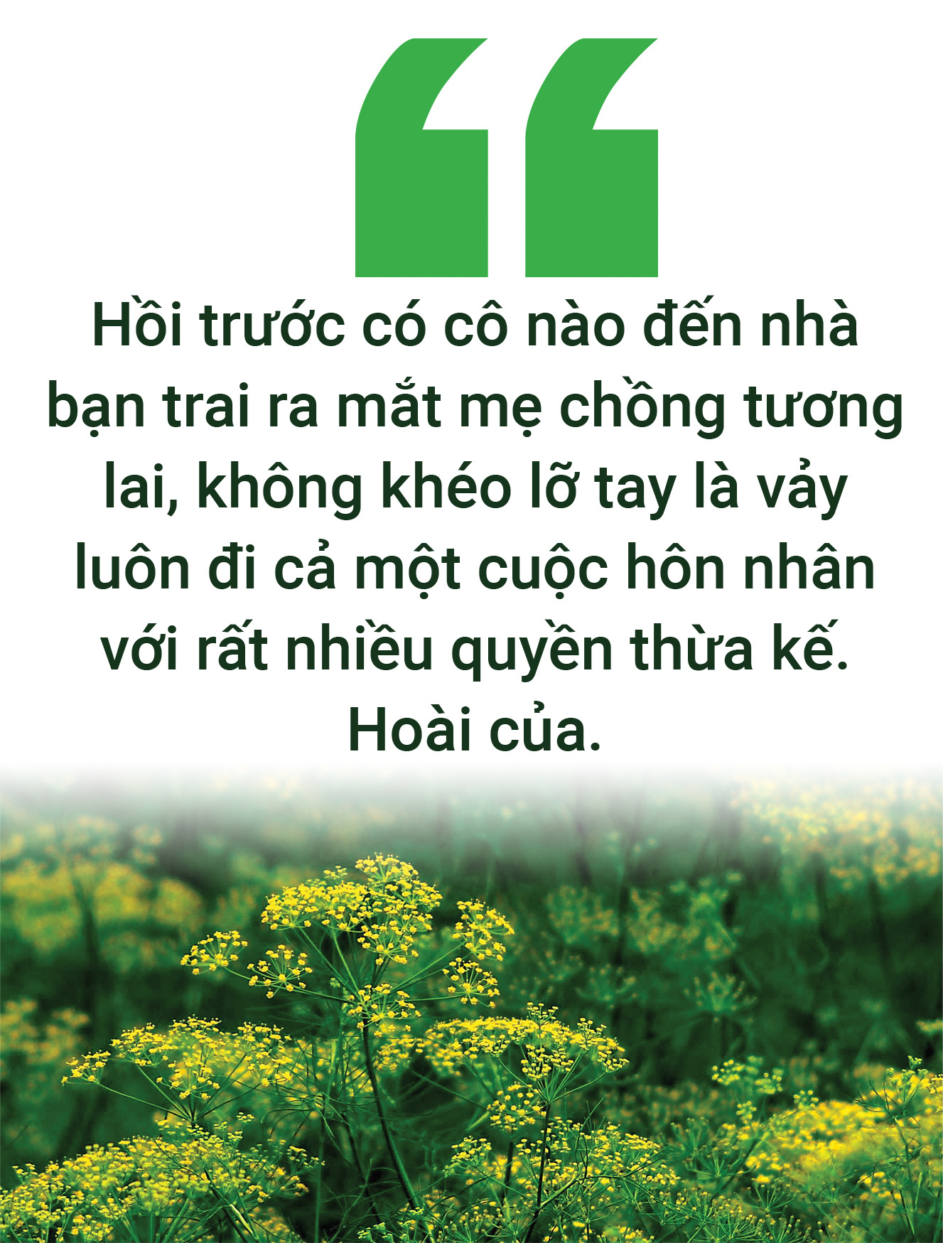 Mùa xuân ăn rau lành - Ảnh 3.