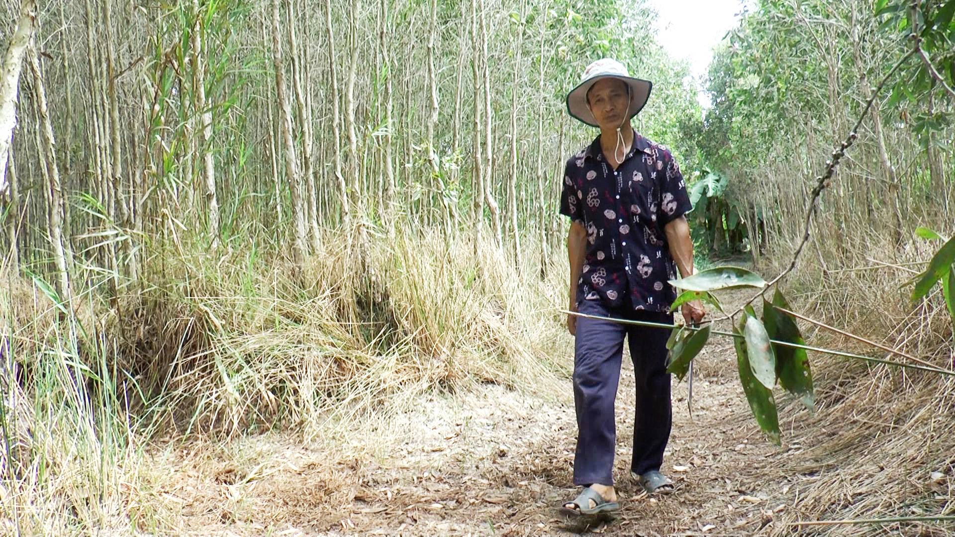 Cà Mau: Làm đường băng cản lửa, dọn kênh rạch hơn 330km để phòng cháy, chữa cháy rừng  - Ảnh 5.