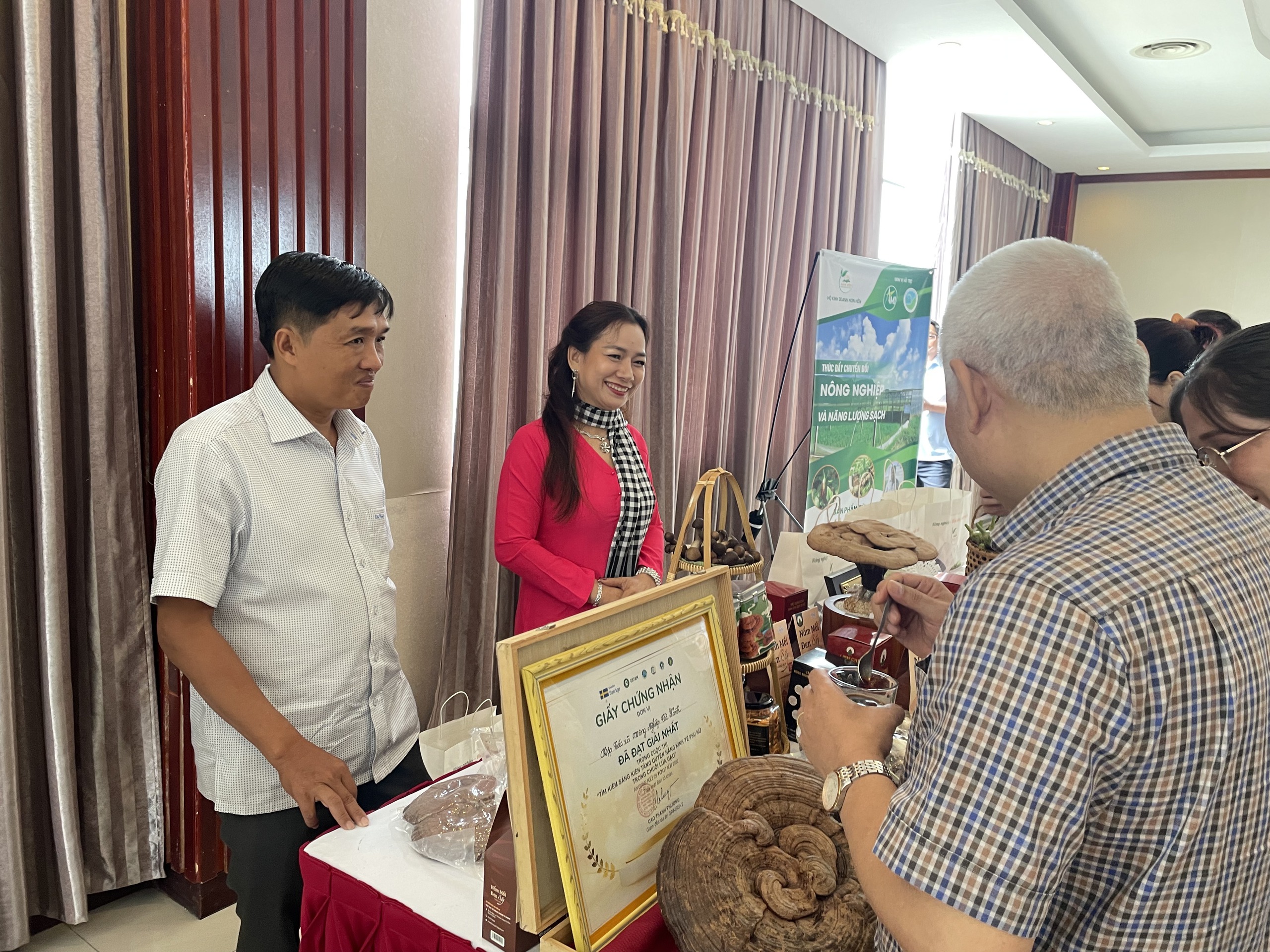 Tiềm năng mô hình trồng cây dưới tấm pin mặt trời - Ảnh 2.