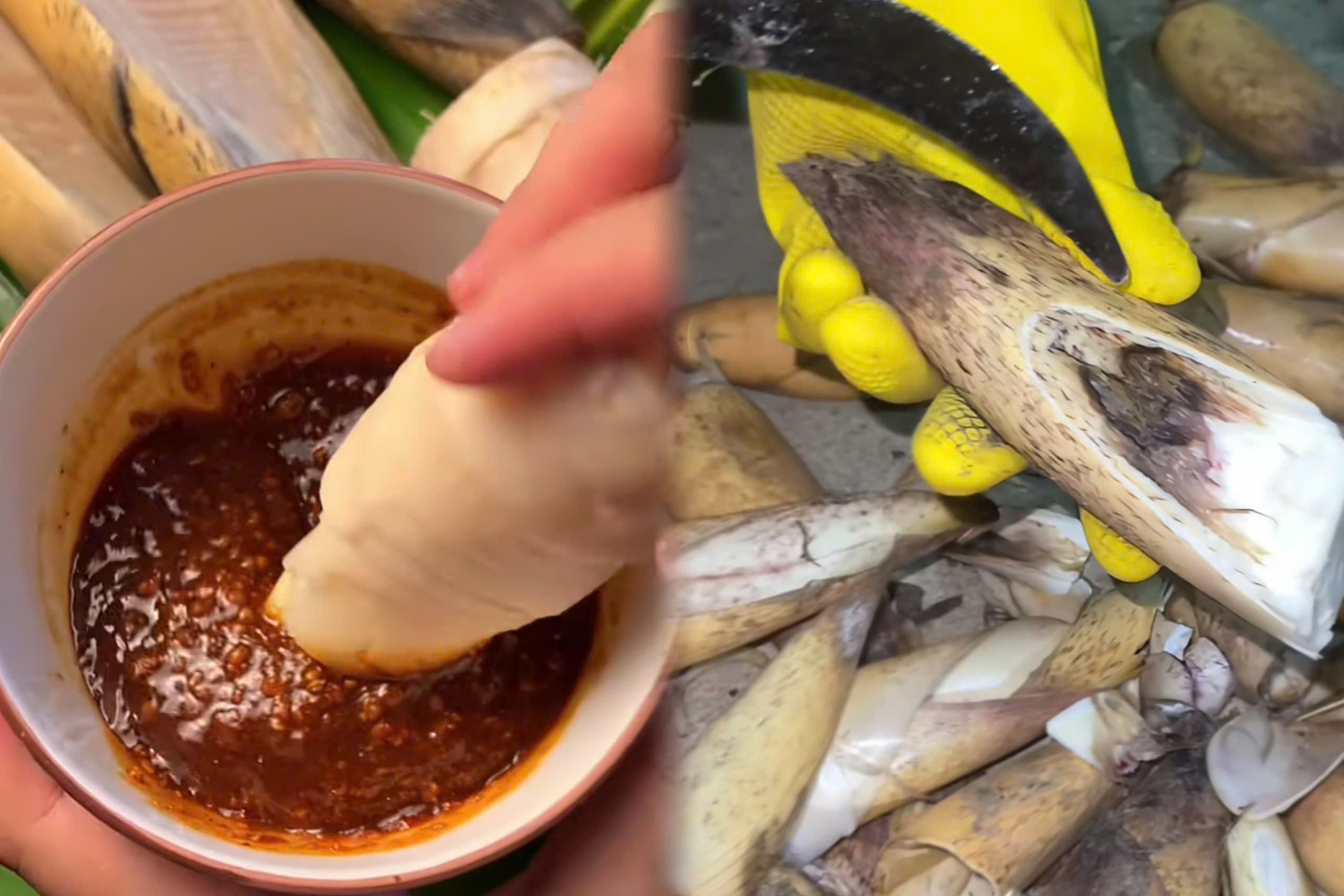 Ăn măng thế nào để không ảnh hưởng đến sức khỏe?- Ảnh 1. Ăn măng thế nào để không ảnh hưởng đến sức khỏe?- Ảnh 1.