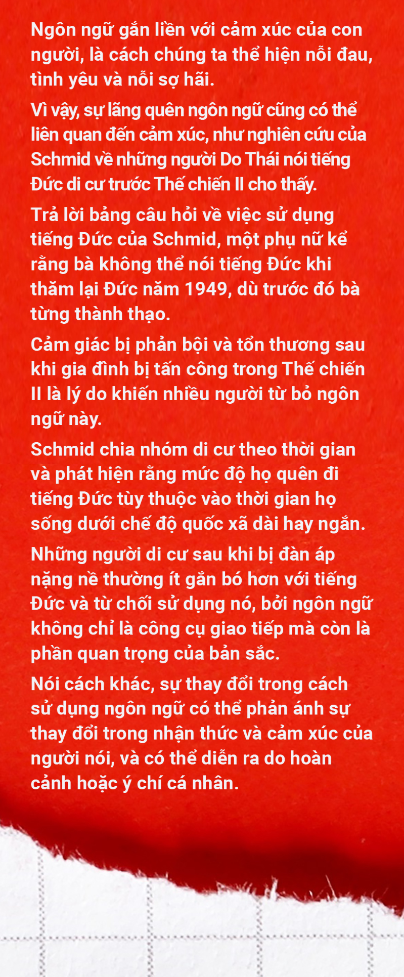 Tiếng mẹ đẻ: Ngỡ mãi không quên, nhưng rồi sẽ mất - Ảnh 10.