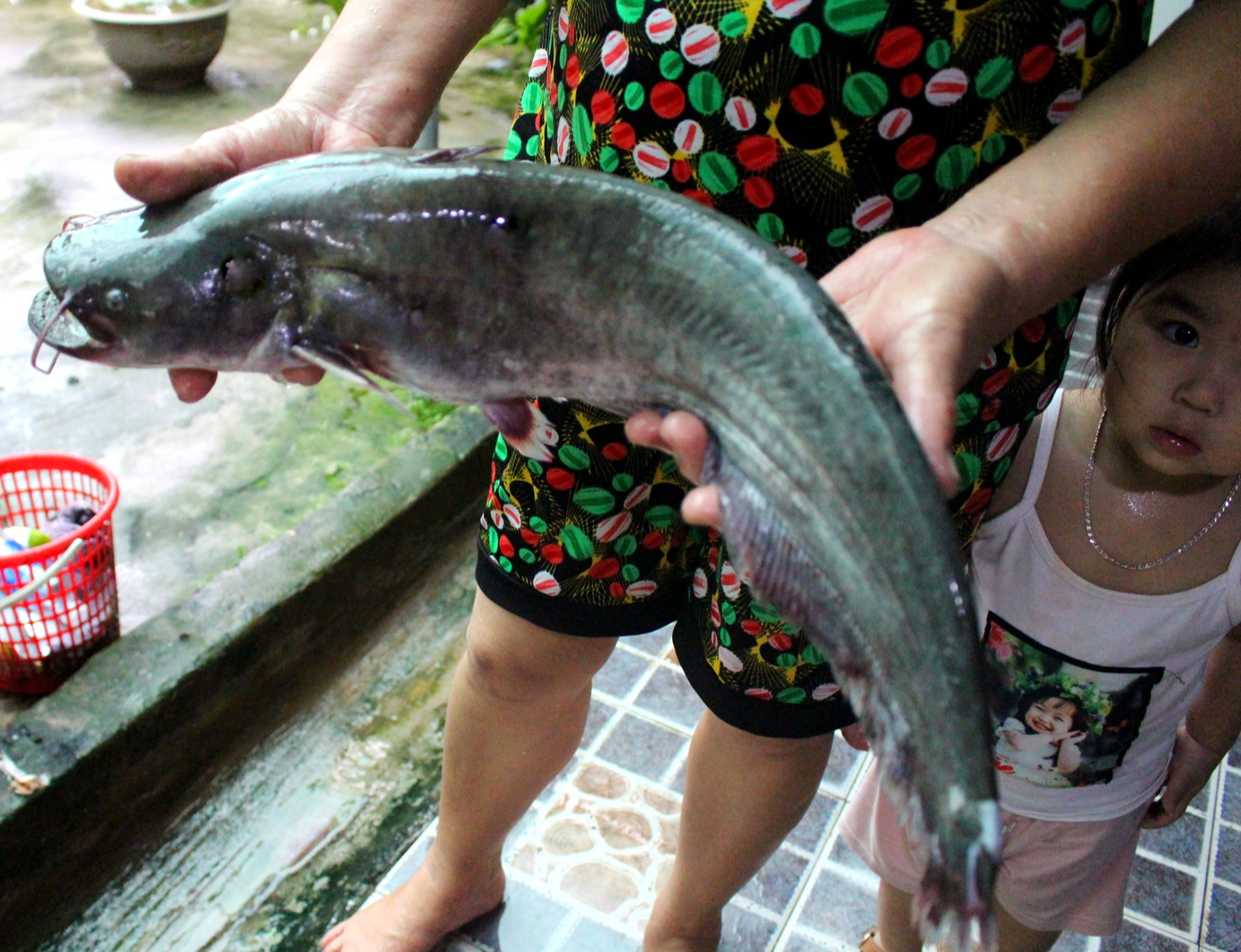 Go to Lam River to eat climbing fish - Photo 2. Về sông Lam ăn cá leo - Ảnh 2.