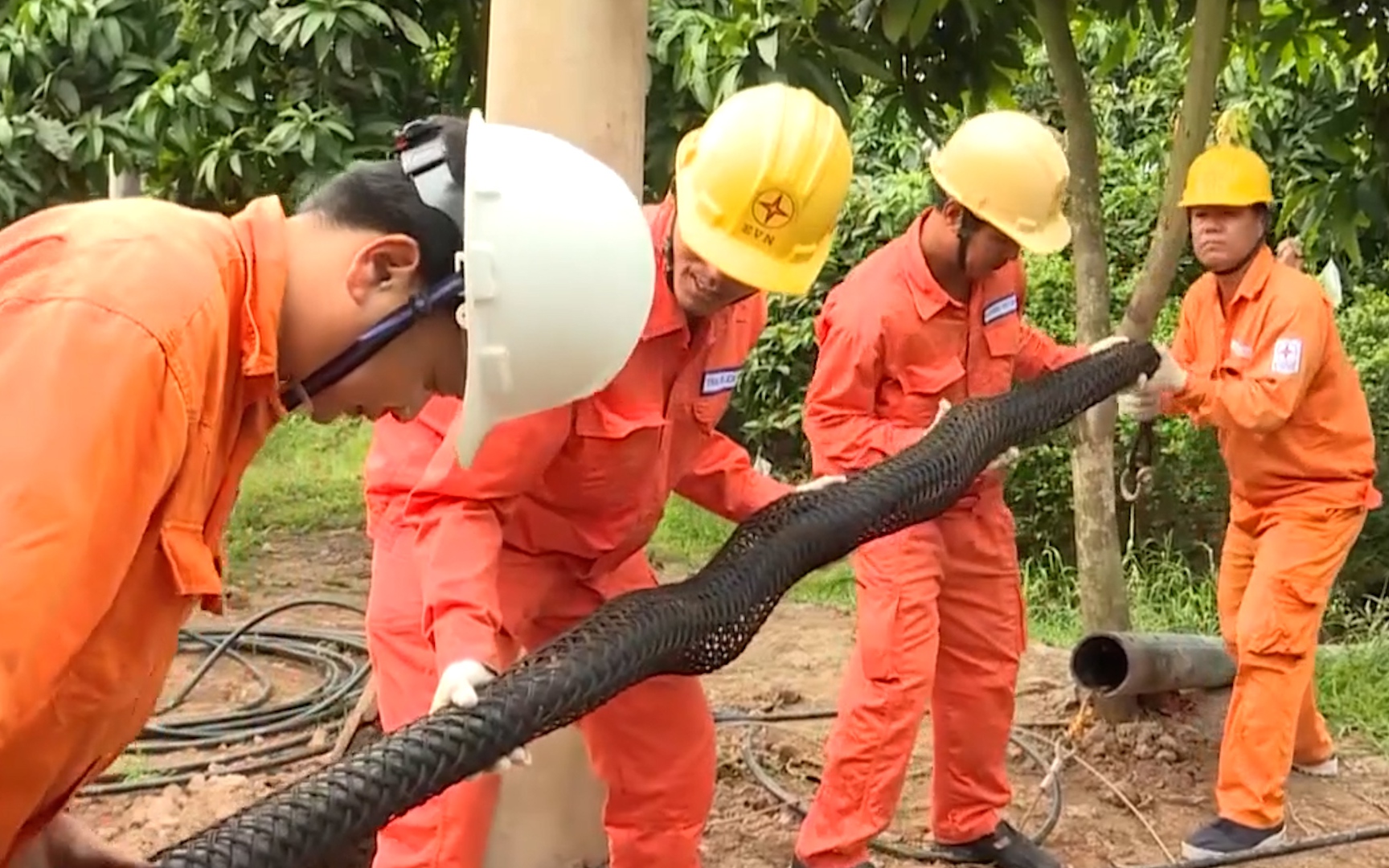 '50 năm - Tỏa sáng miền Nam': Những đôi tay không mỏi của công nhân Điện lực Lâm Đồng  - Ảnh 1.