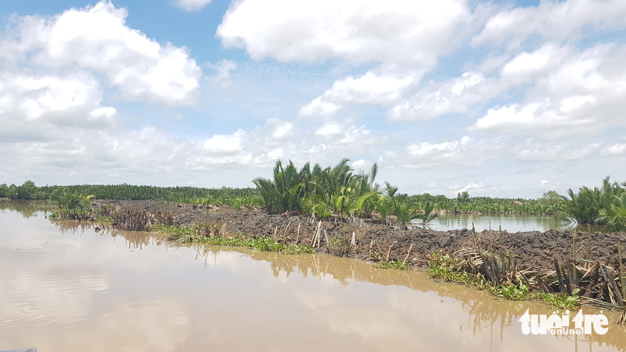 Sẽ cưỡng chế 4 hộ bao chiếm đầm Đông Hồ bị phạt 2 tỉ đồng - Ảnh 2.