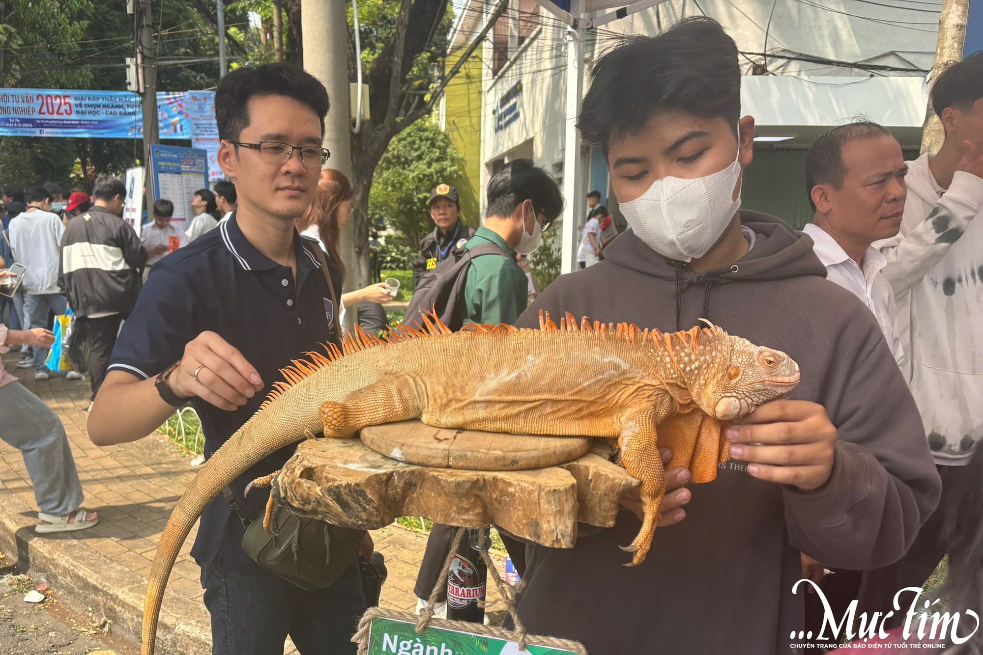 Đến Ngày hội tư vấn tuyển sinh - hướng nghiệp xem robot phân loại rác, rồng Nam Mỹ siêu ngầu- Ảnh 3.