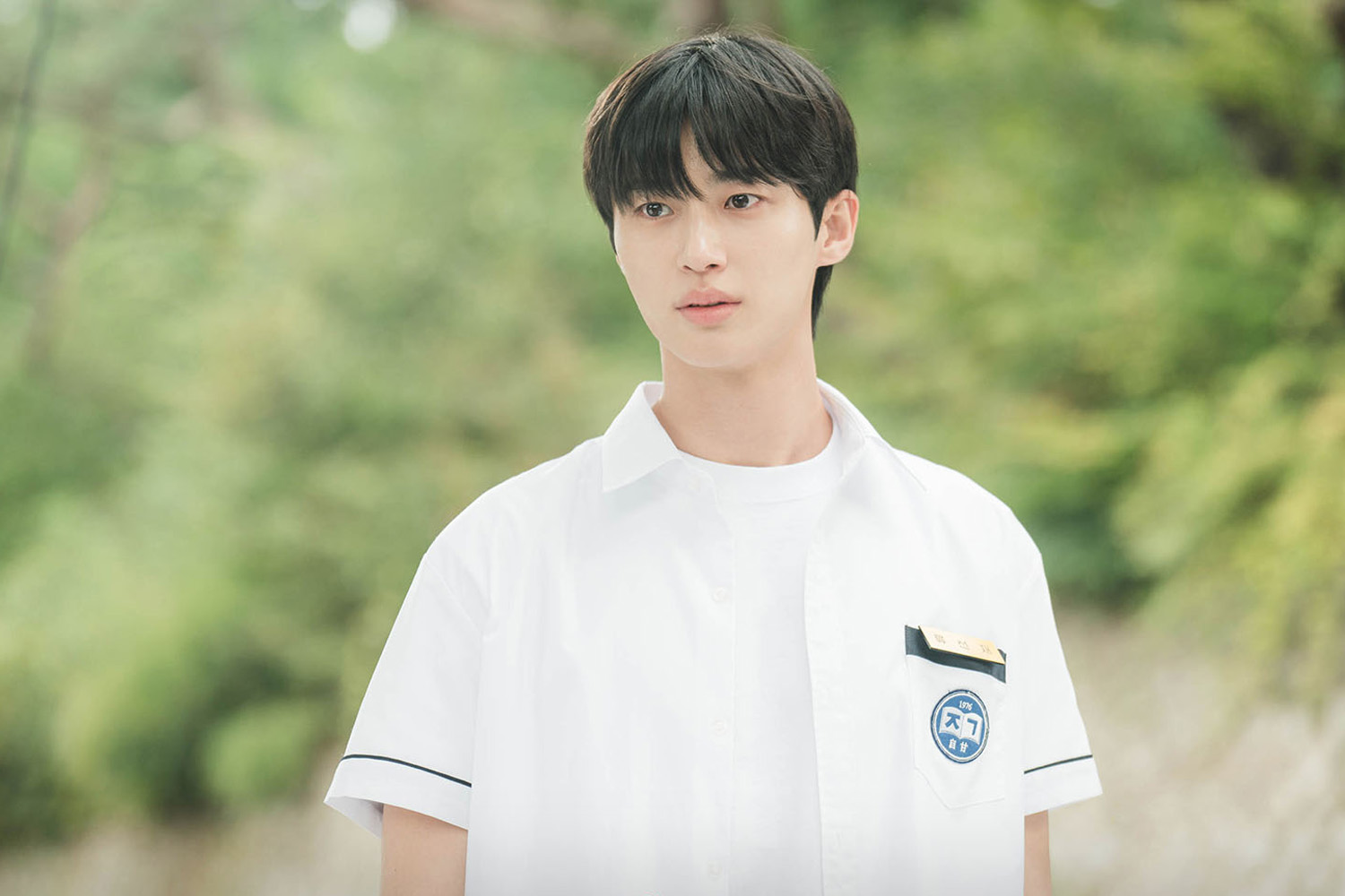 Thị đế Baeksang 2025 sẽ gọi tên Han Suk Kyu, Park Bo Gum hay Ju Ji Hoon? - Ảnh 6.