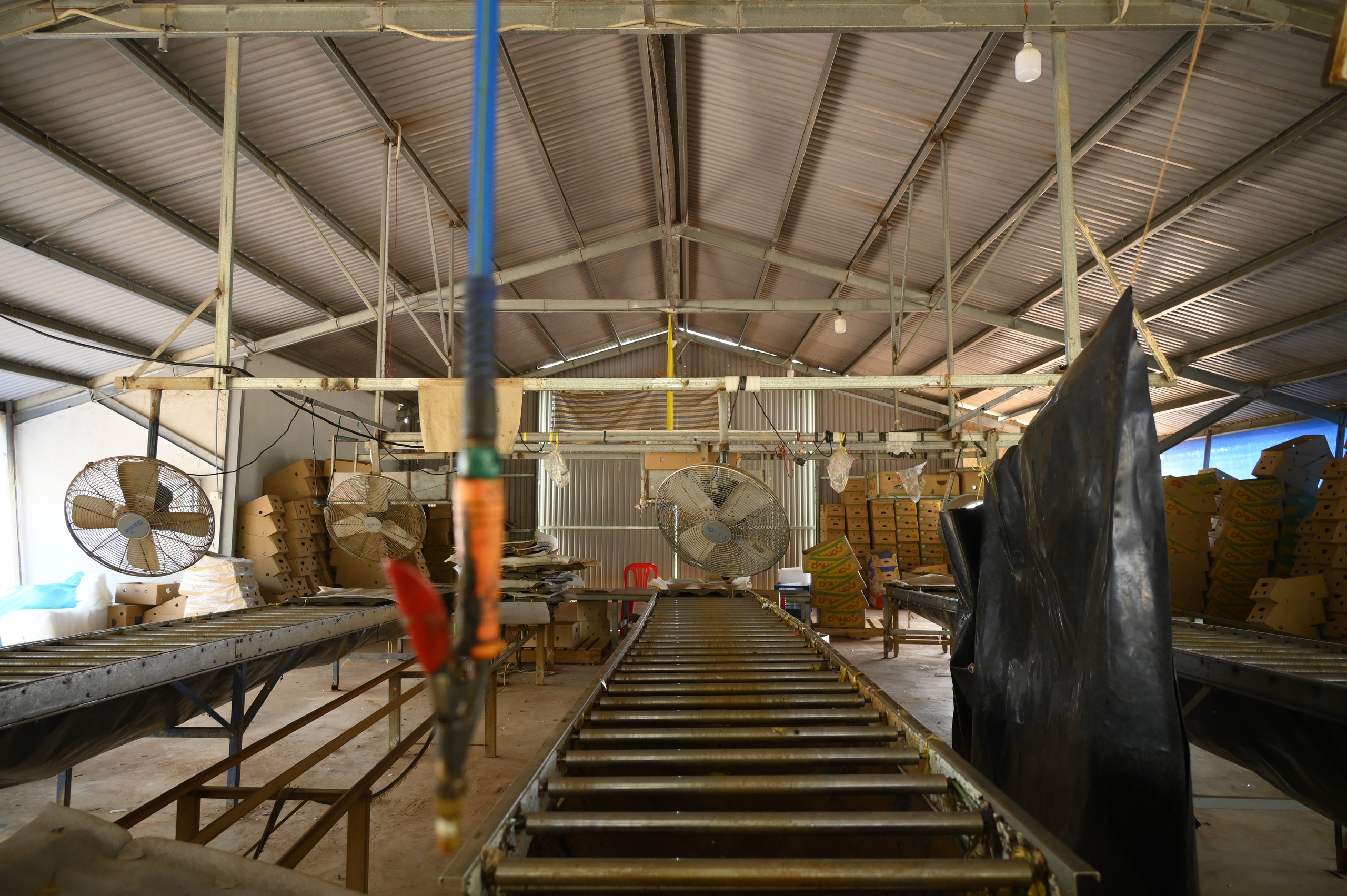 kháng nghị - Ảnh 2.