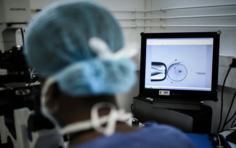 A second Australian IVF mix-up shakes clinic and industry - Ảnh 1.