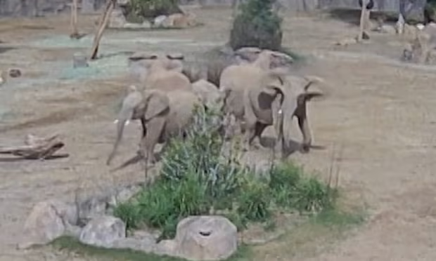 động đất - Ảnh 1.