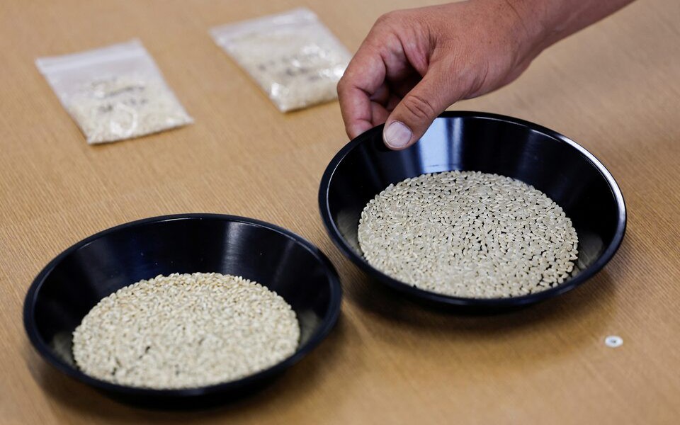 Premium Vietnamese rice expected to be potential solution to Japan’s deepening rice crisis- Ảnh 5.