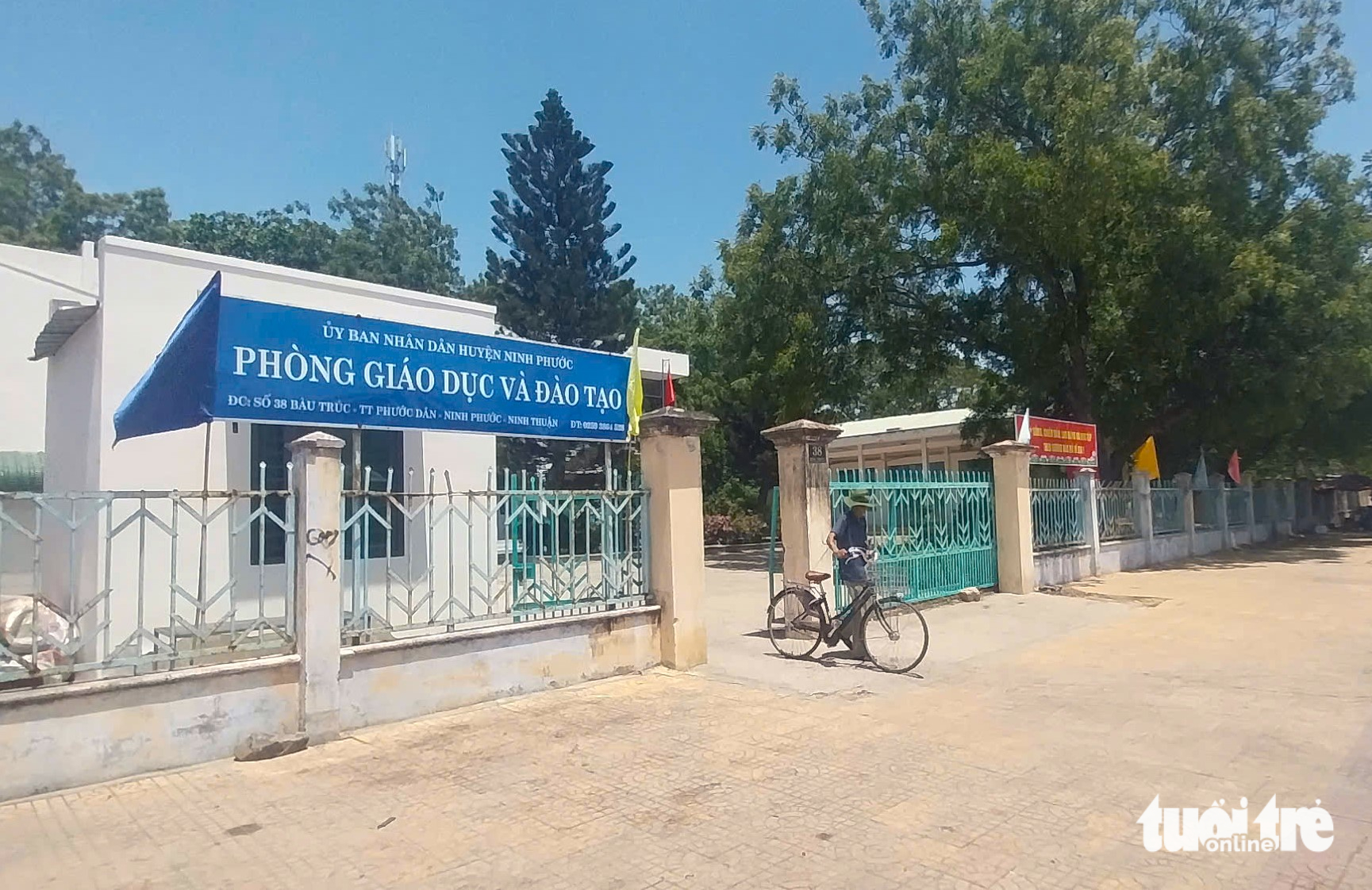 giáo viên - Ảnh 2.