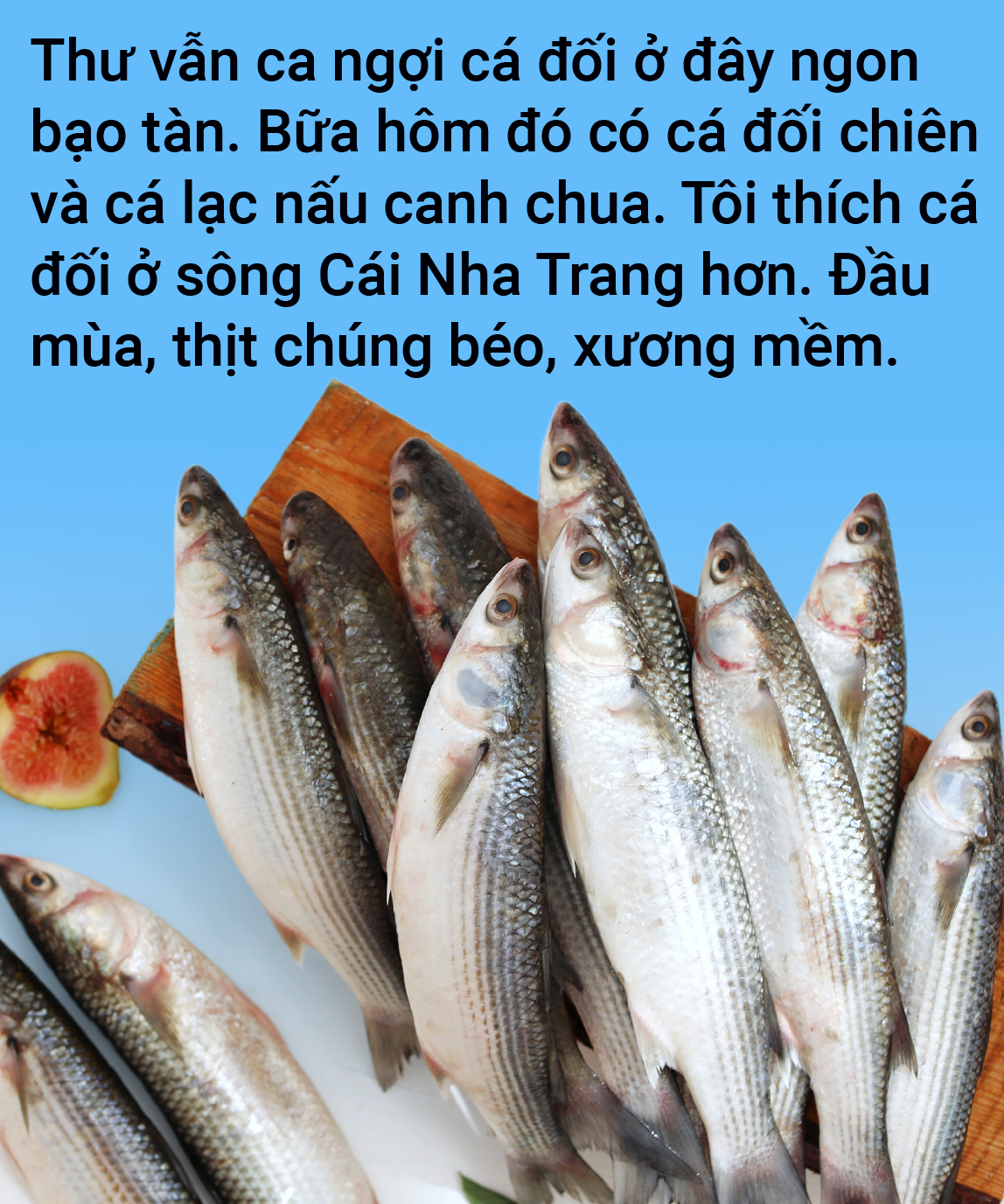 Chuyến giang hồ yến ẩm xứ Nẫu - Ảnh 7.