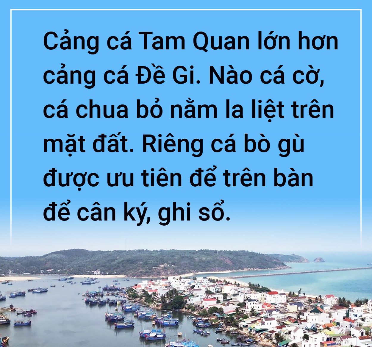 Chuyến giang hồ yến ẩm xứ Nẫu - Ảnh 11.