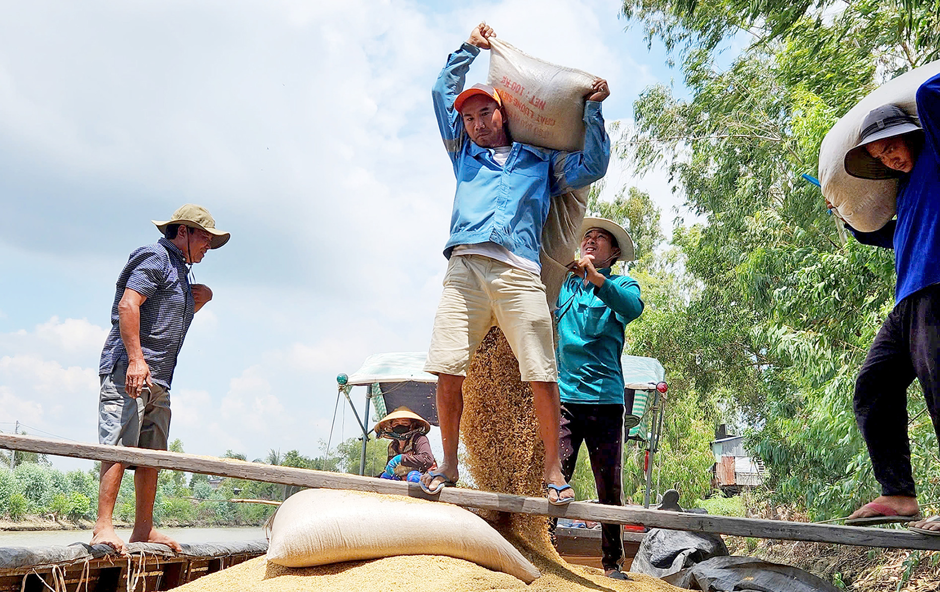 メコンデルタの農家は、夏から秋の作物シーズンを迎えるにあたり、投入コストの上昇を懸念している - 写真 1。 Giá vật tư tăng, nông dân ĐBSCL lo lắng bước vào vụ hè thu - Ảnh 1.