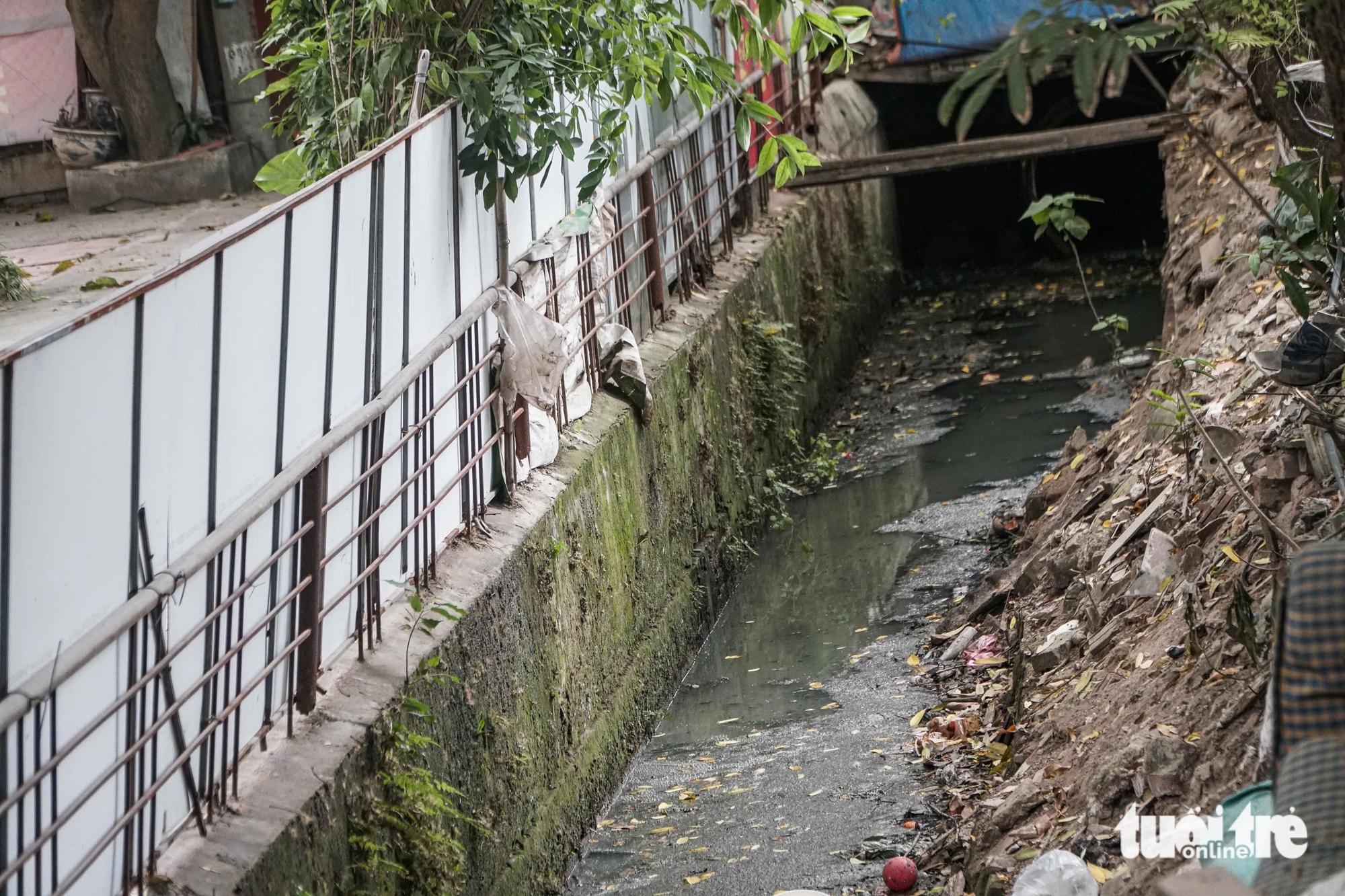 ô nhiễm - Ảnh 7.