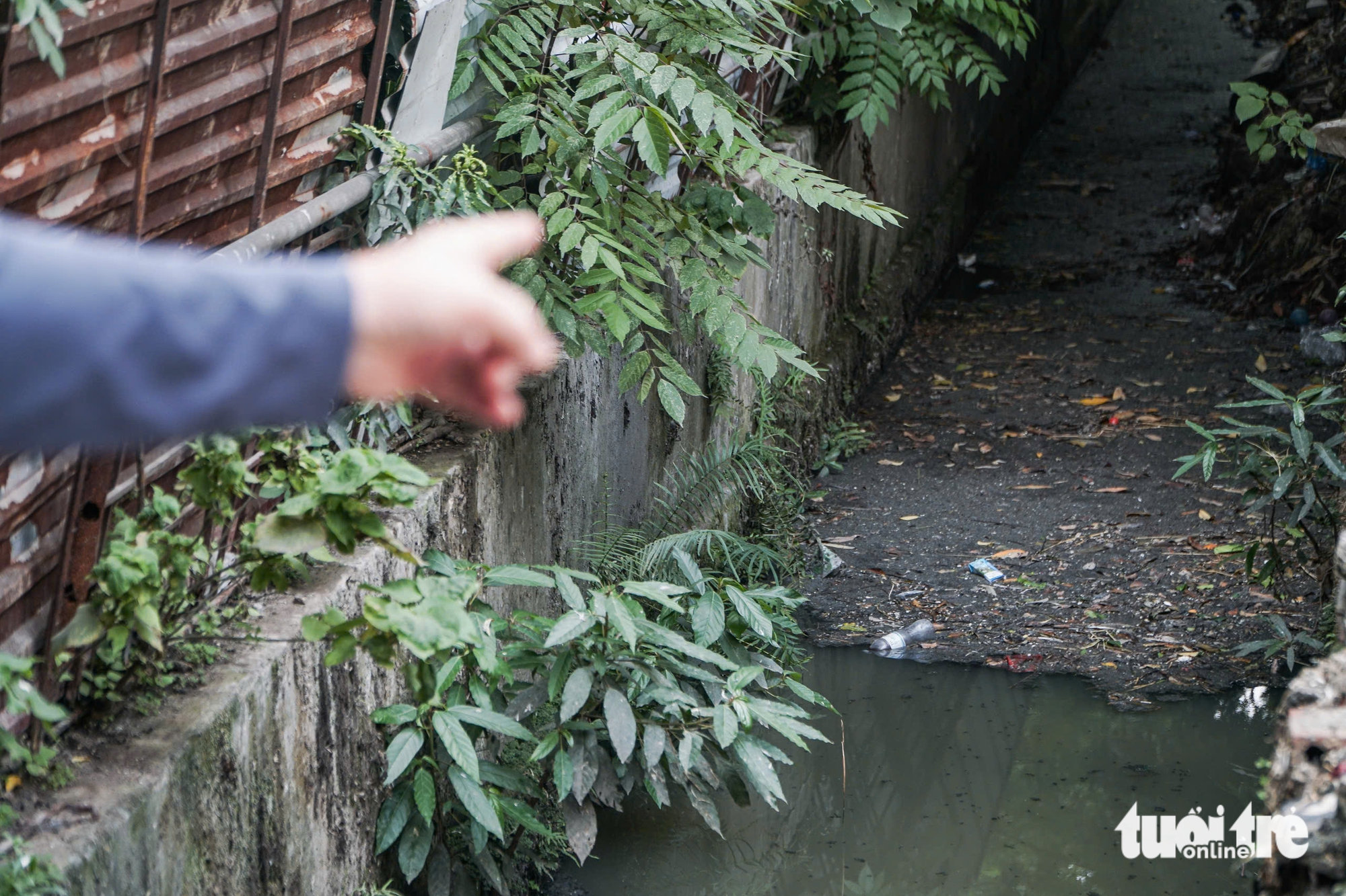 ô nhiễm - Ảnh 8.