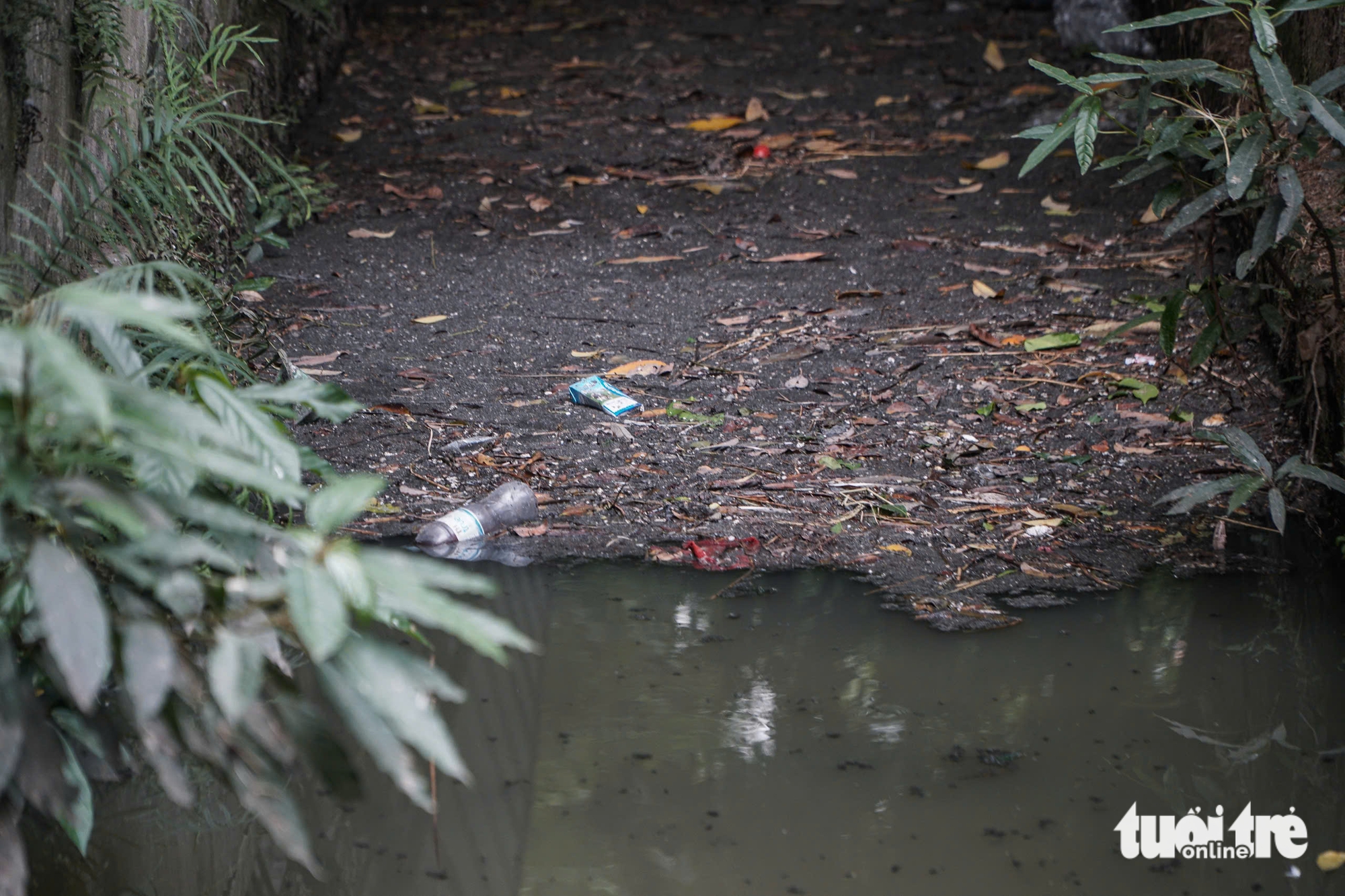 ô nhiễm - Ảnh 9.