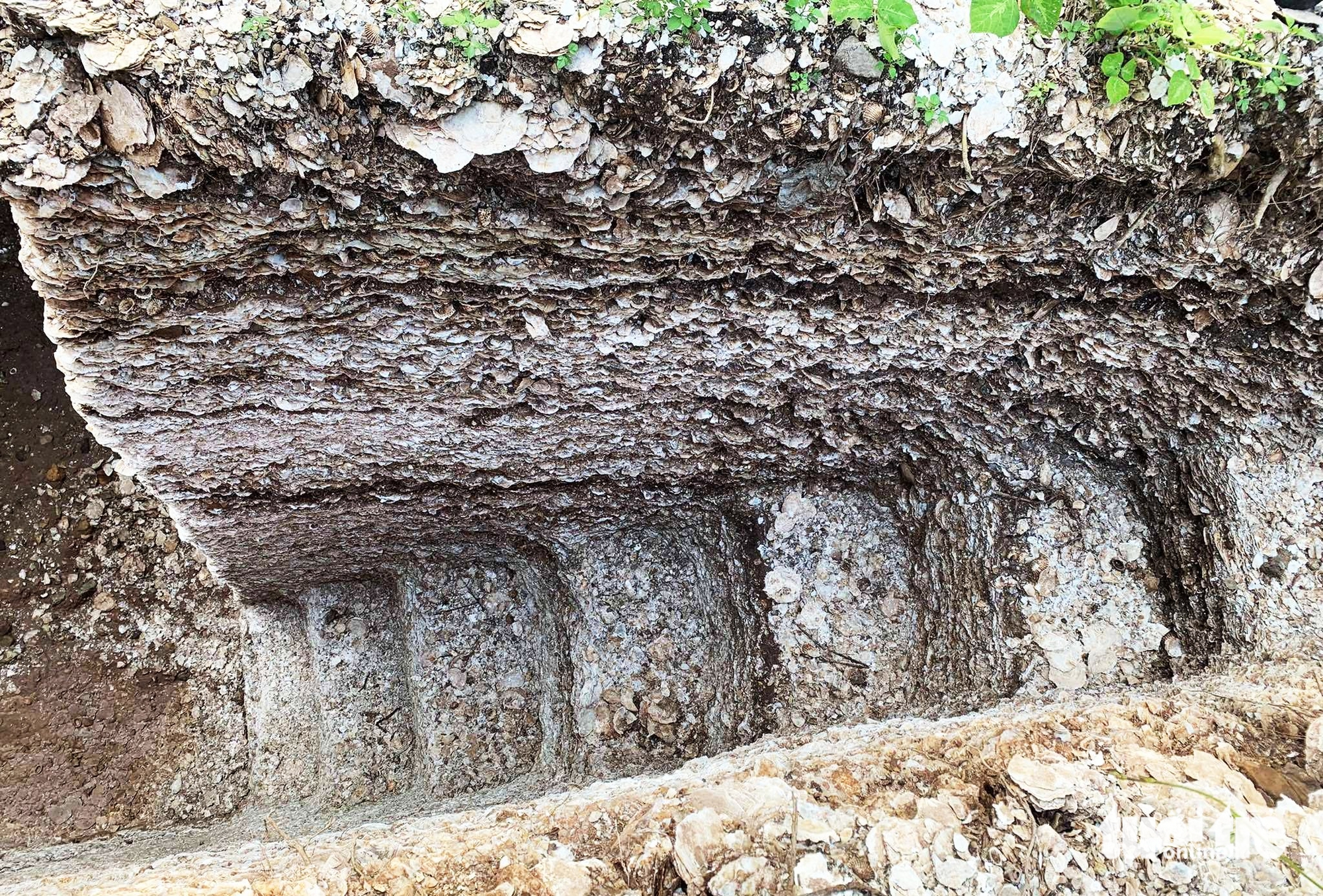 di chỉ Quỳnh Văn - Ảnh 4.