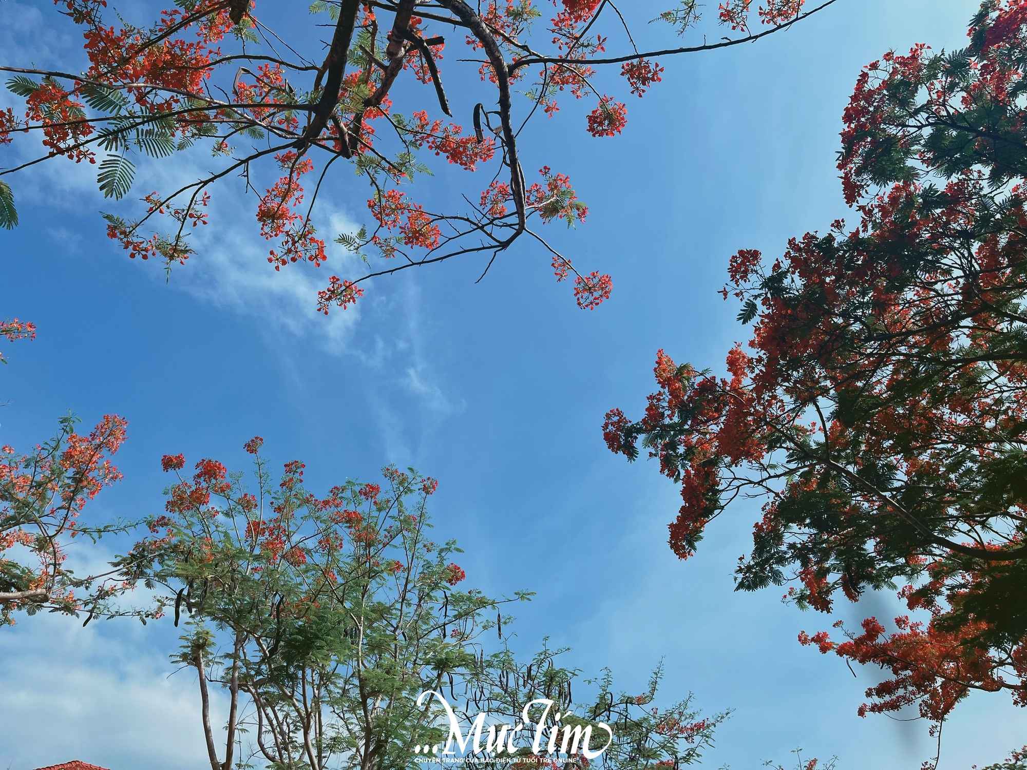 Gửi bạn 10 lời chào tháng 5 ý nghĩa - Ảnh 1.