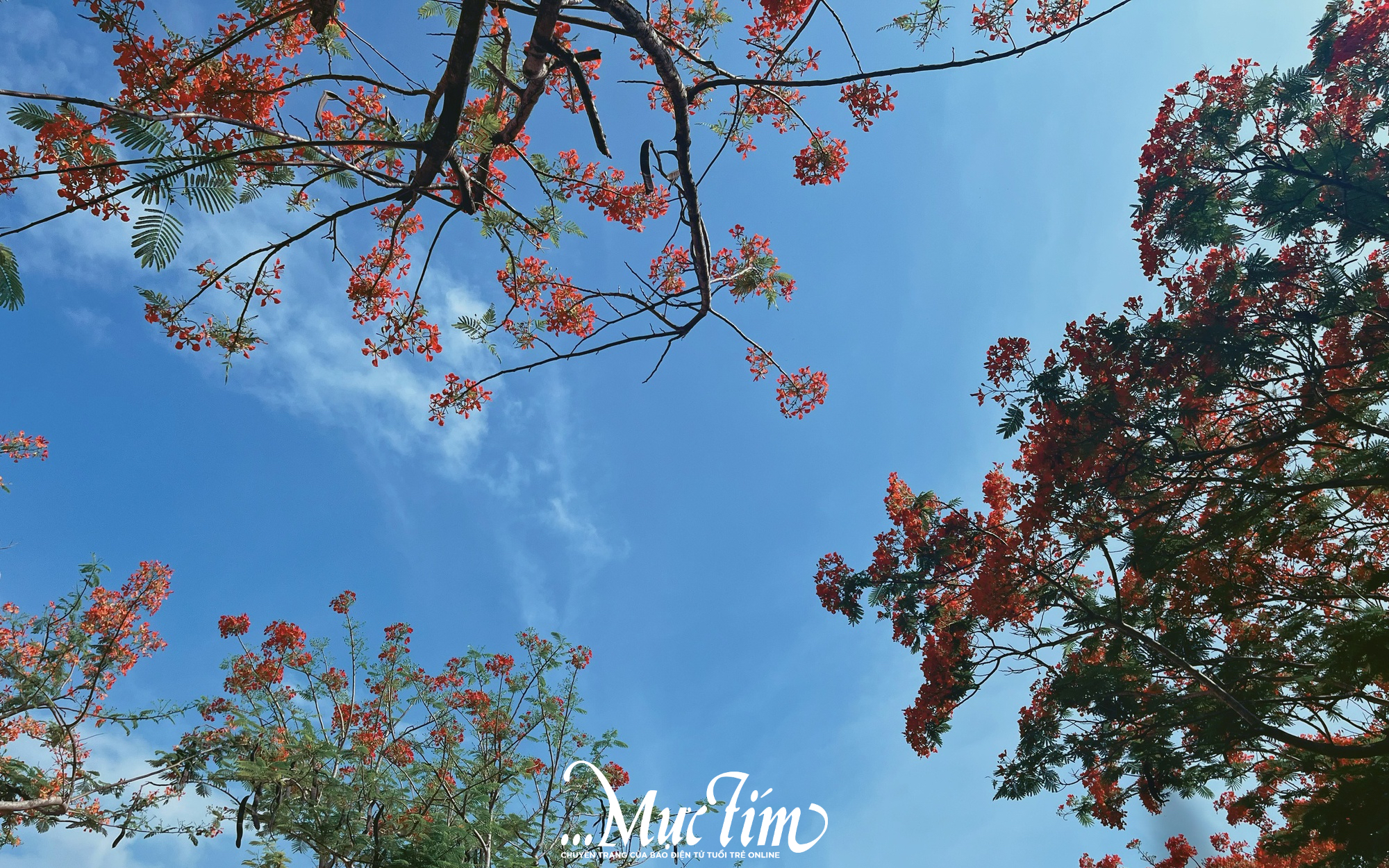 Tháng 5 có những ngày lễ, ngày kỷ niệm nào?- Ảnh 5.