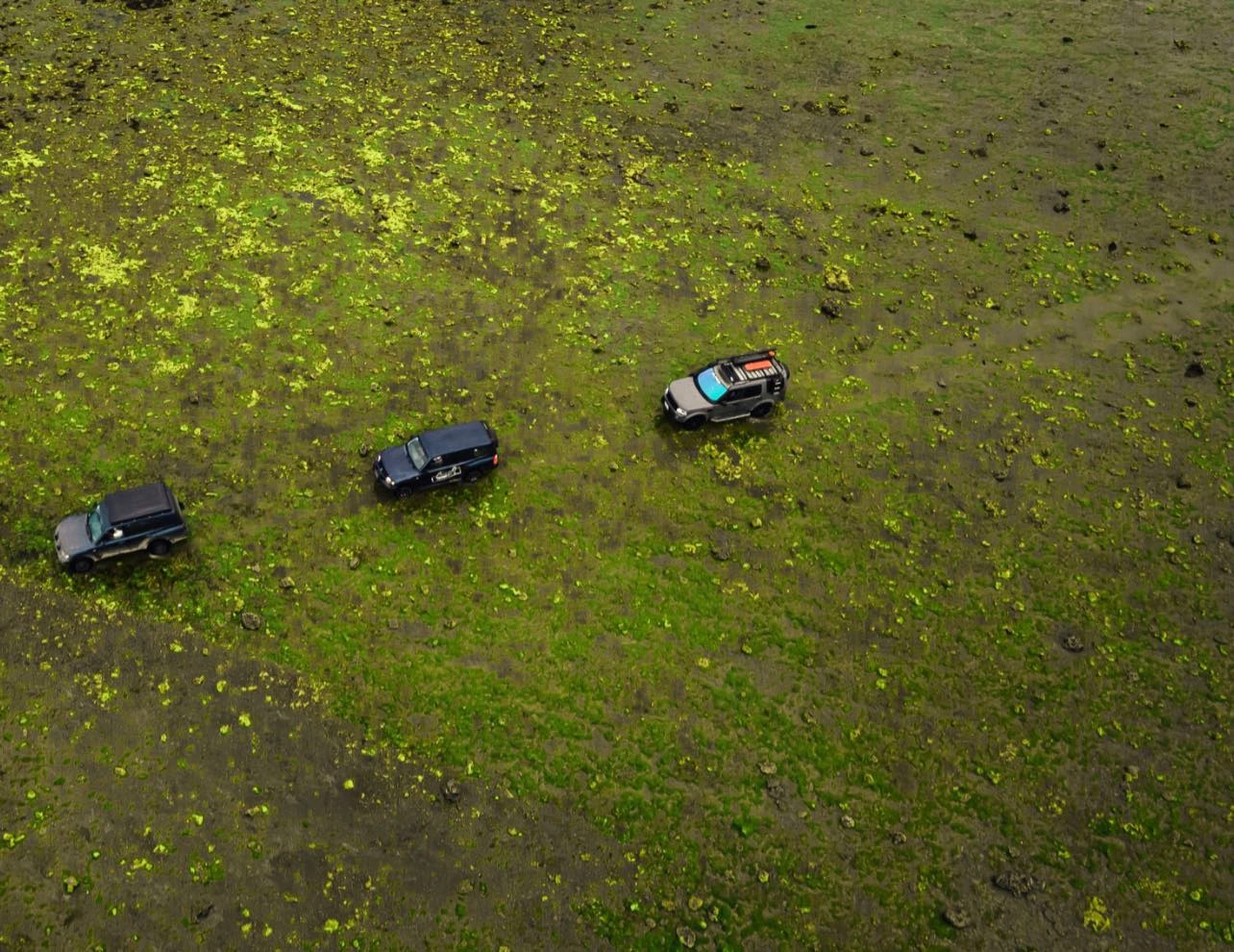 bãi rêu - Ảnh 2.