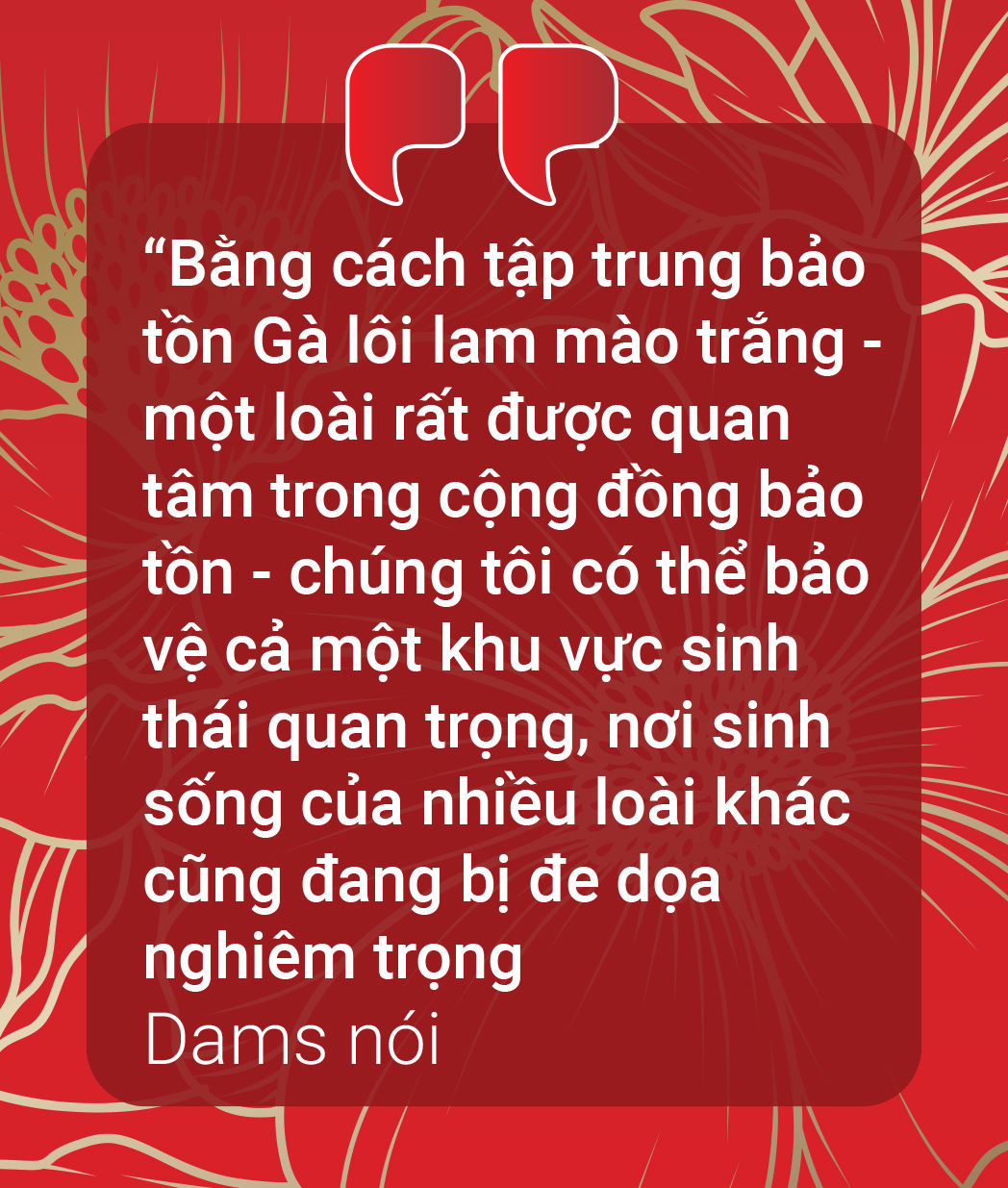 Từ Bỉ, gà lôi lam mào trắng Việt Nam hồi cố hương - Ảnh 14.