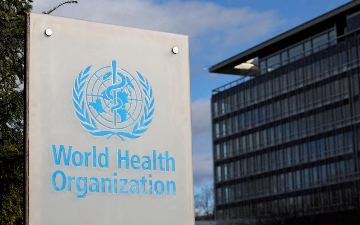 Japan researchers conduct multifetal pregnancy reduction surgeries- Ảnh 1.