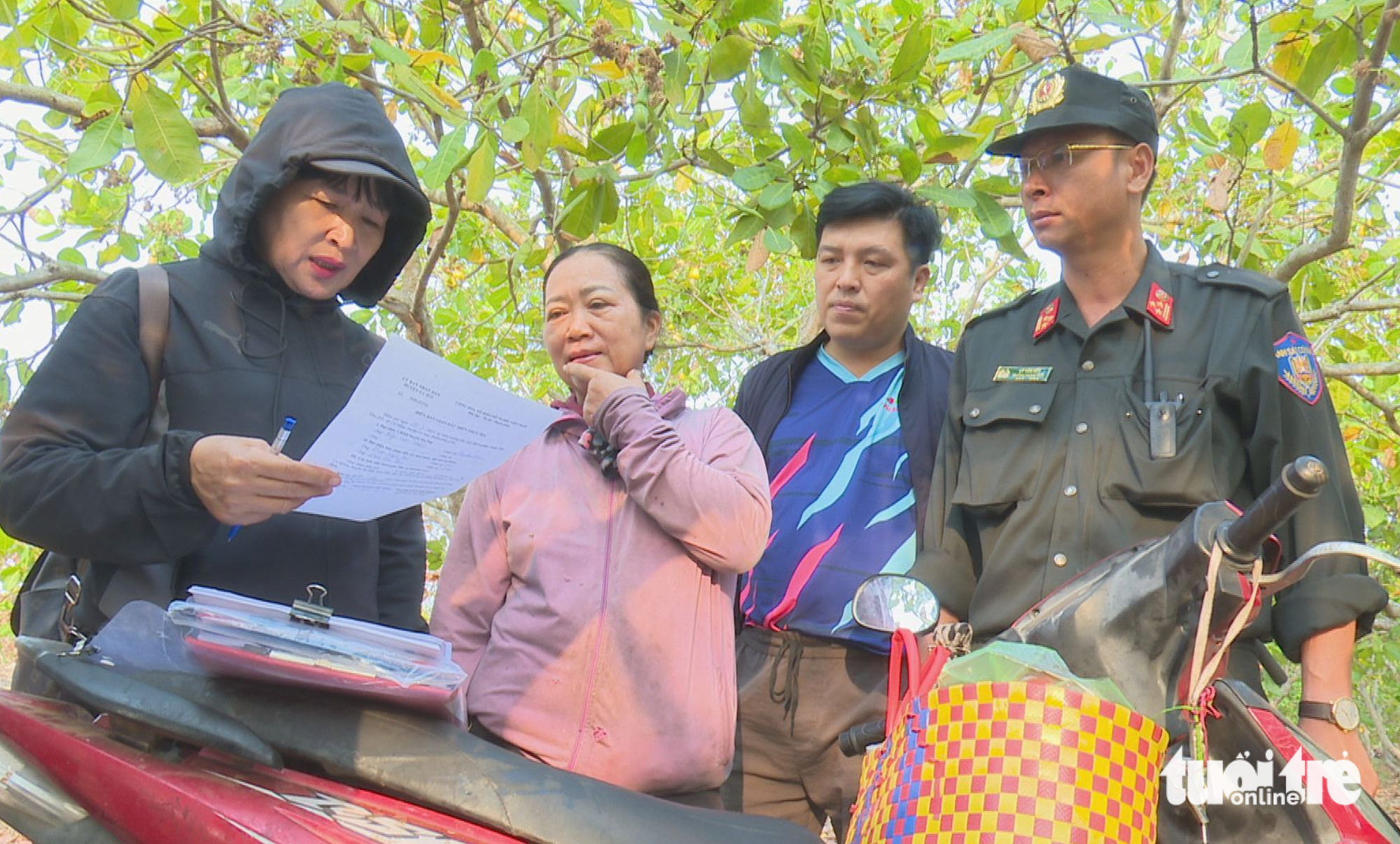 rừng bị lấn chiếm - Ảnh 1.